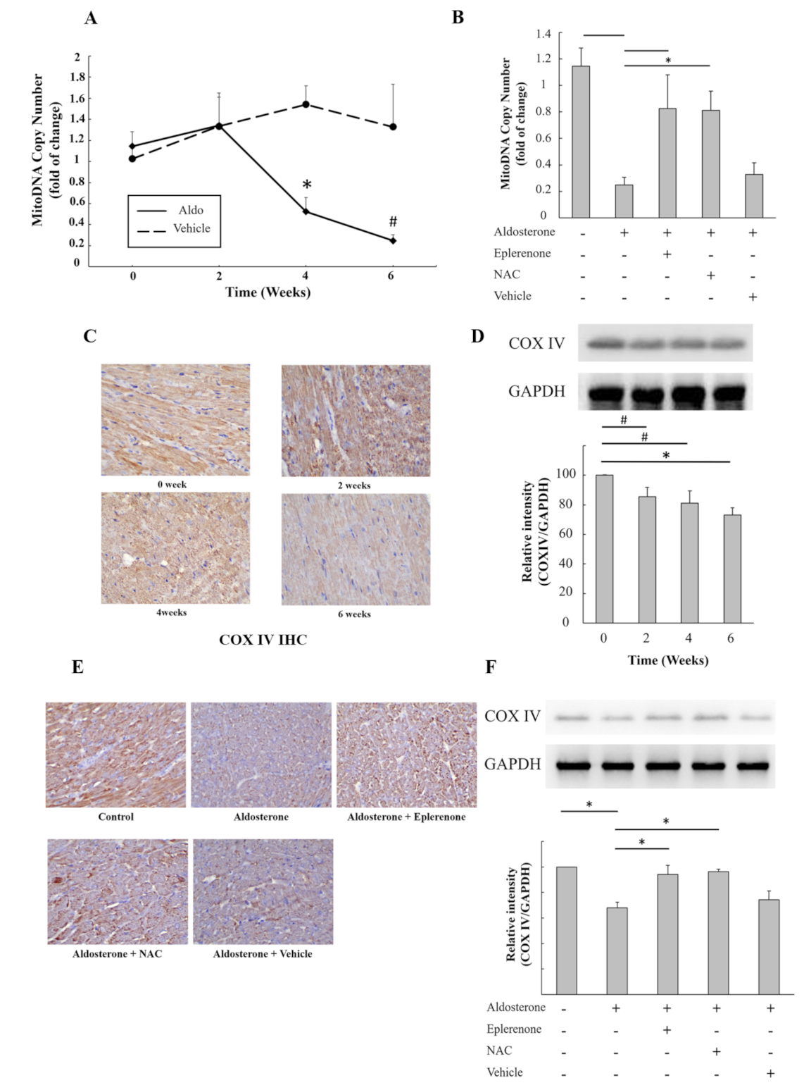 Biomedicines 09 00946 g004 550