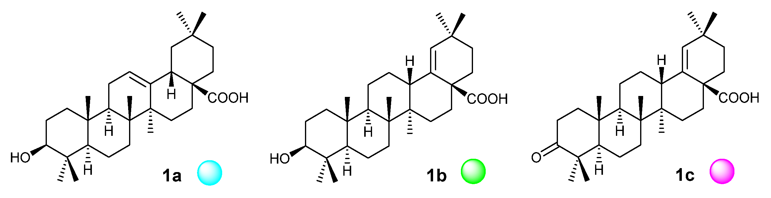 Biomedicines 09 00951 g001