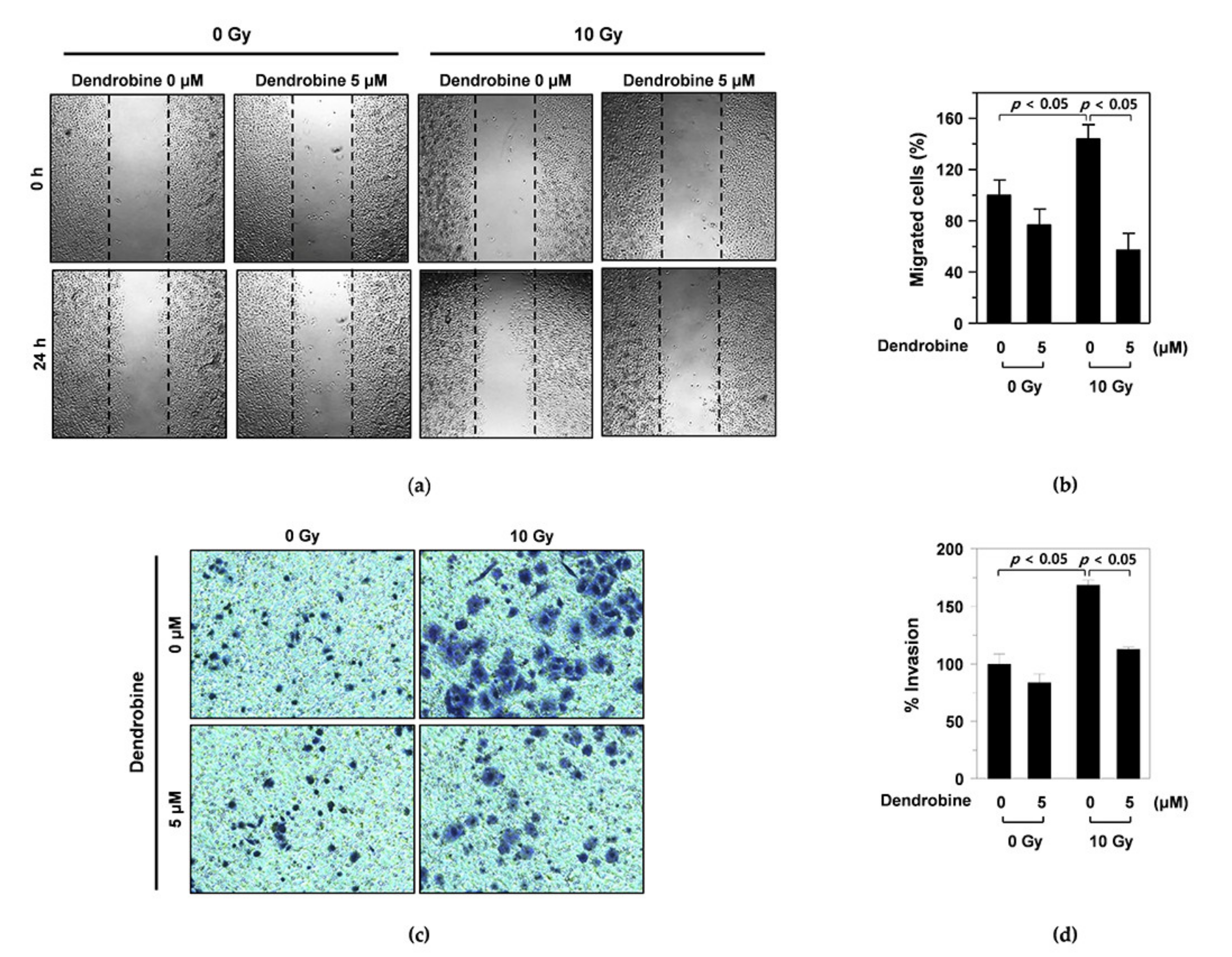 Biomedicines 09 00954 g002