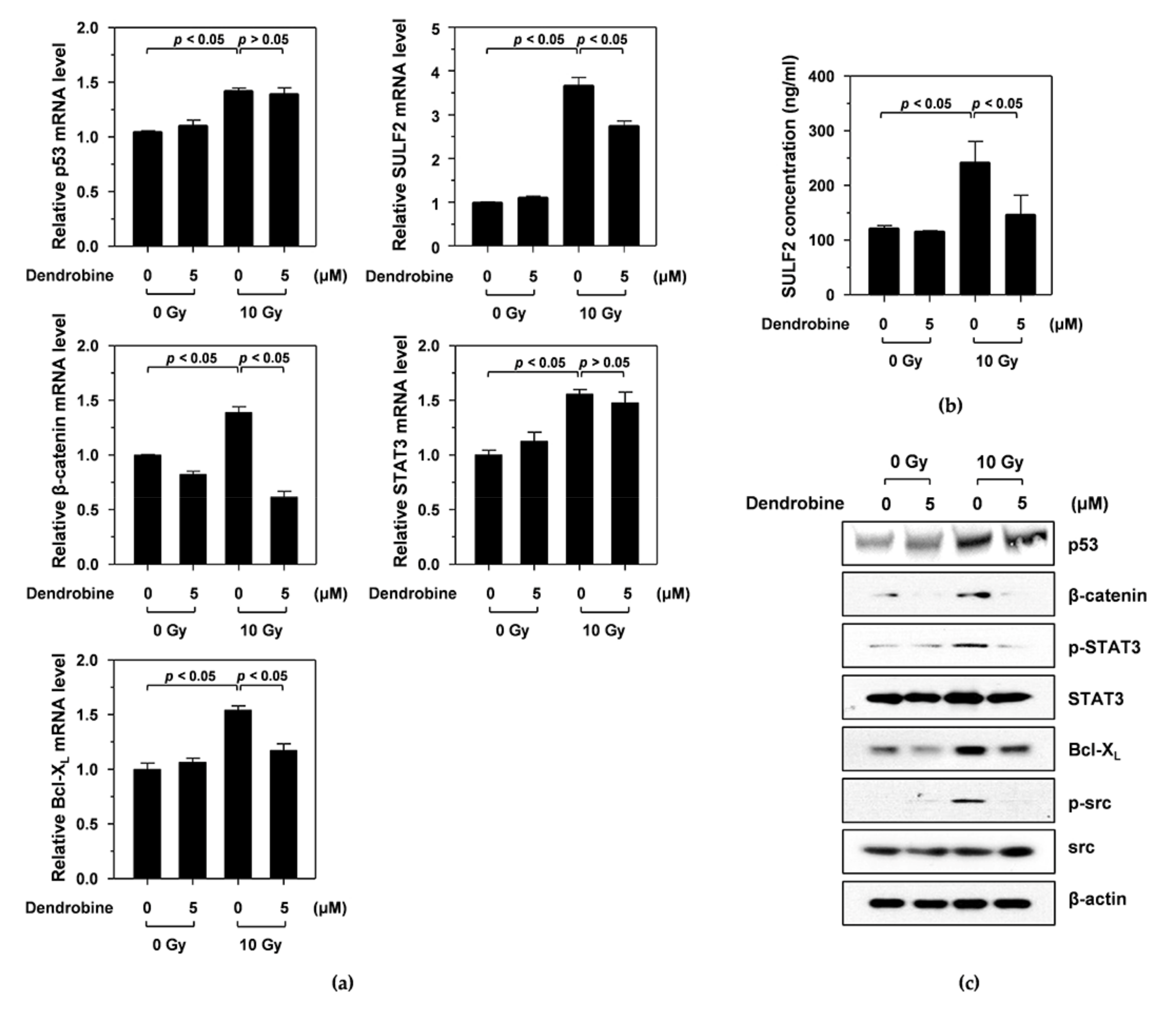 Biomedicines 09 00954 g003