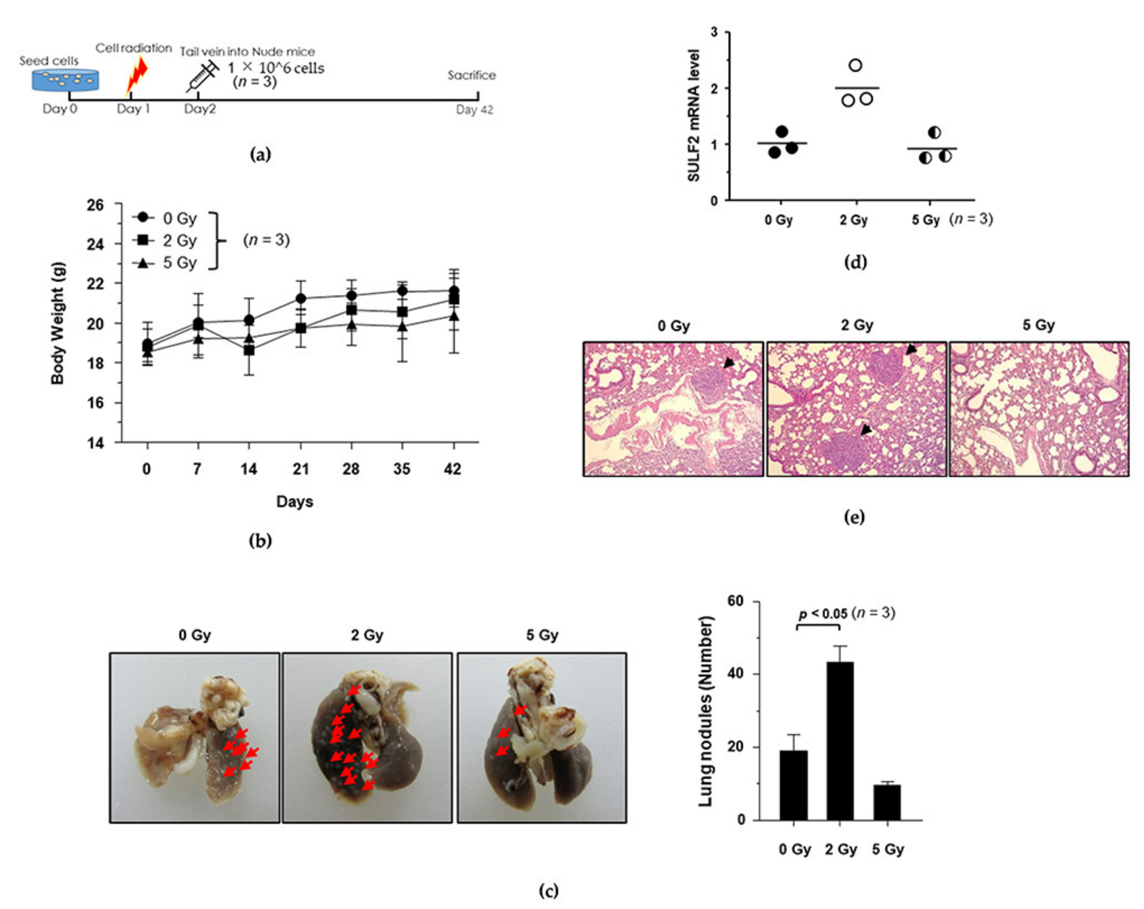 Biomedicines 09 00954 g004