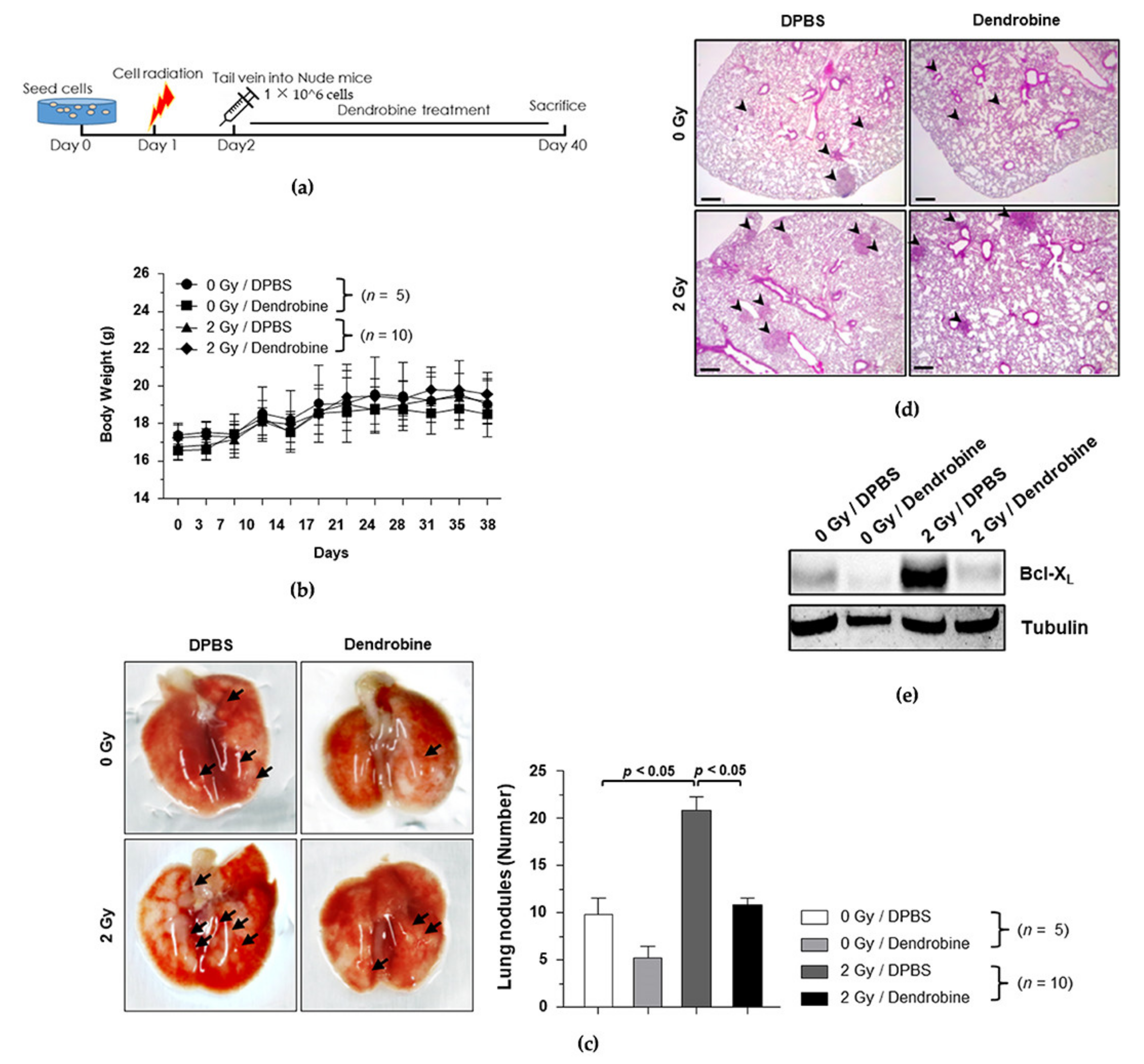 Biomedicines 09 00954 g006