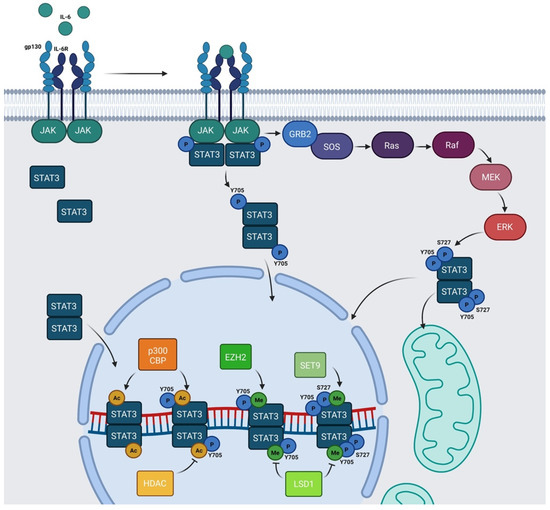 Biomedicines 09 00956 g002 550