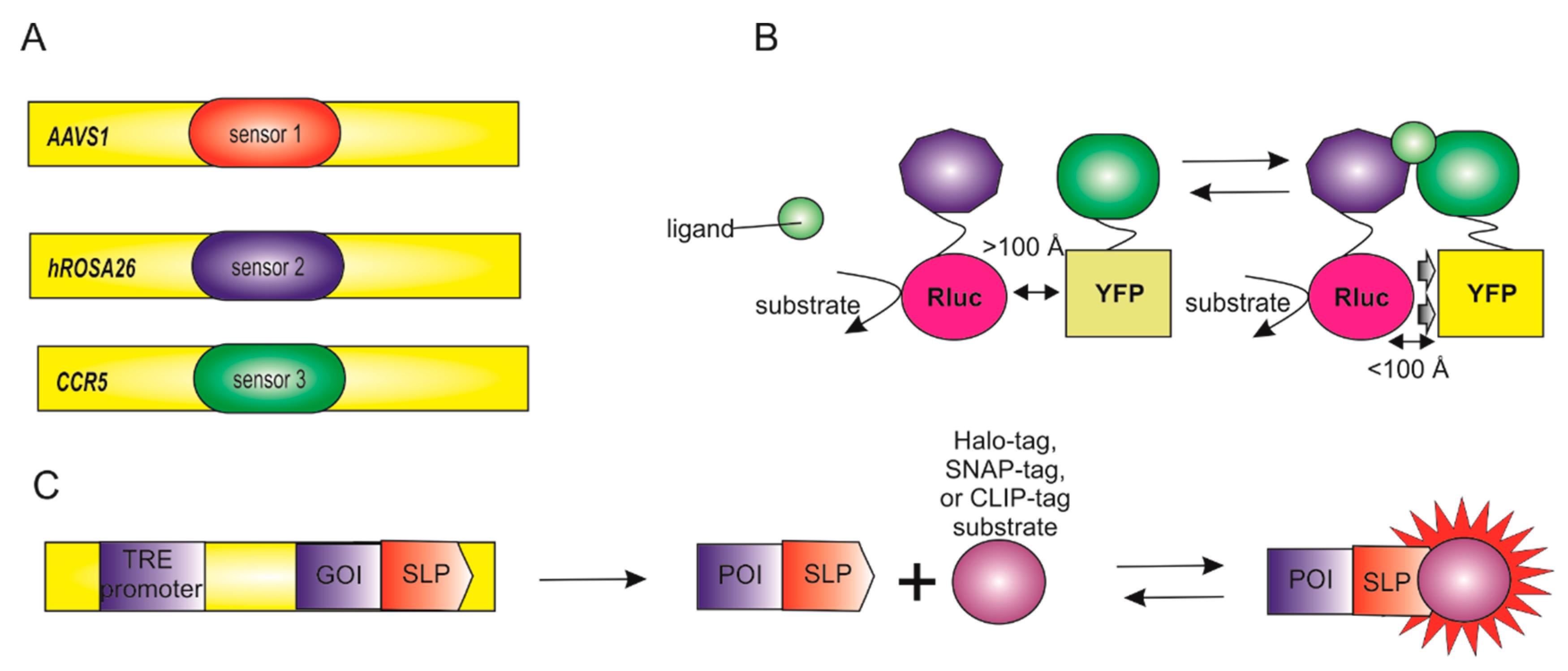 Biomedicines 09 00960 g004 Biomedicines 09 00960 g004