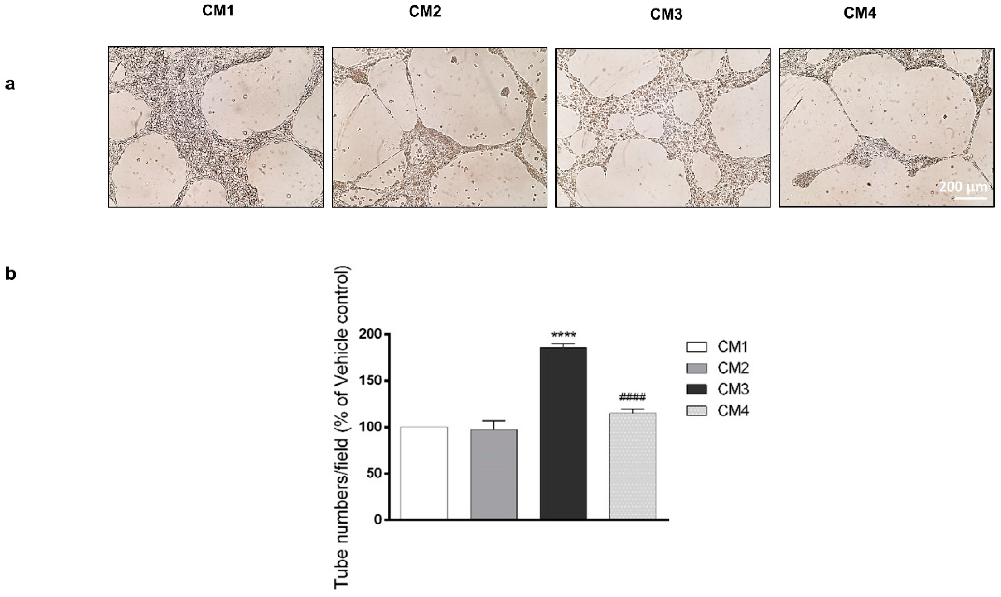 Biomedicines 09 00965 g004