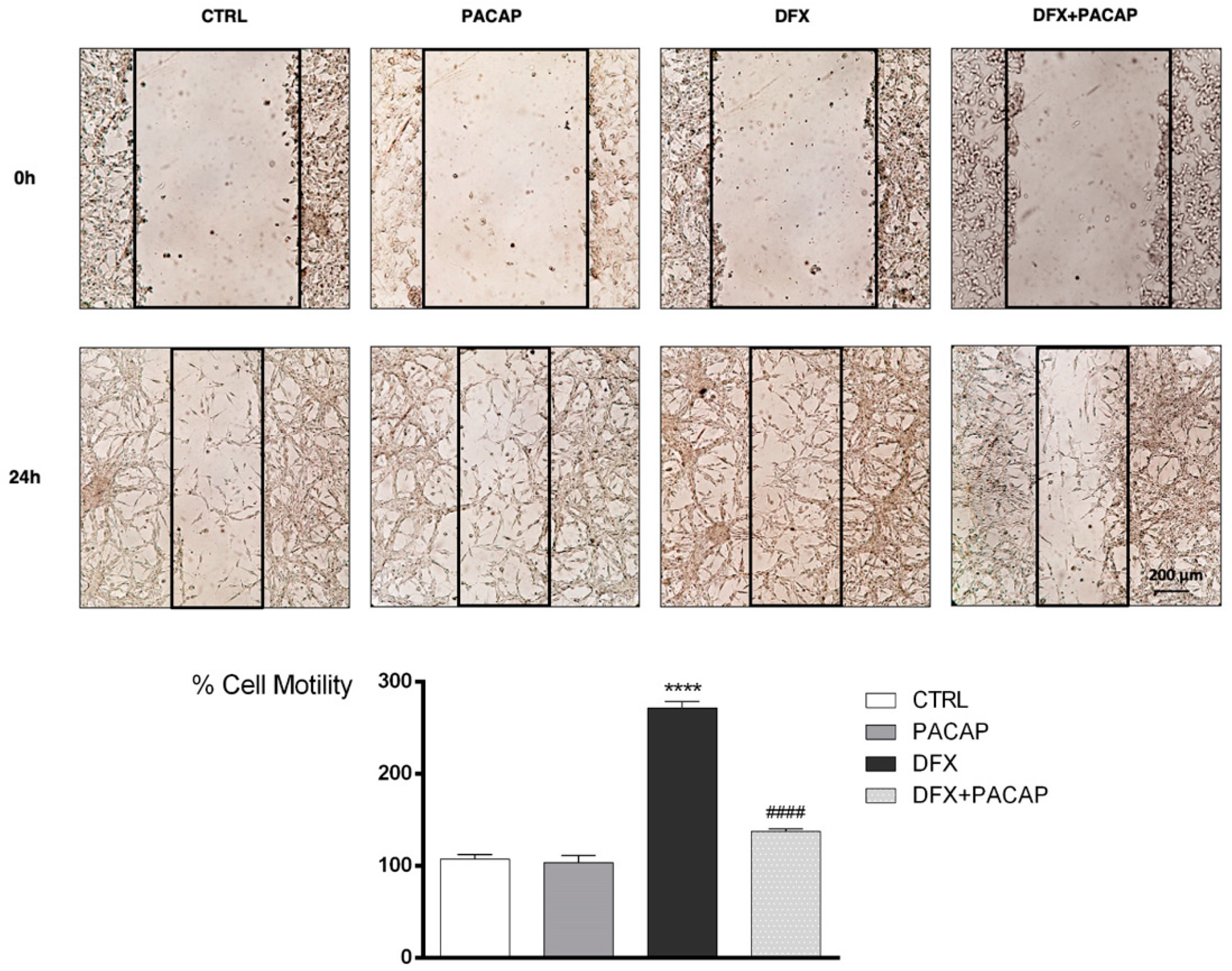 Biomedicines 09 00965 g007