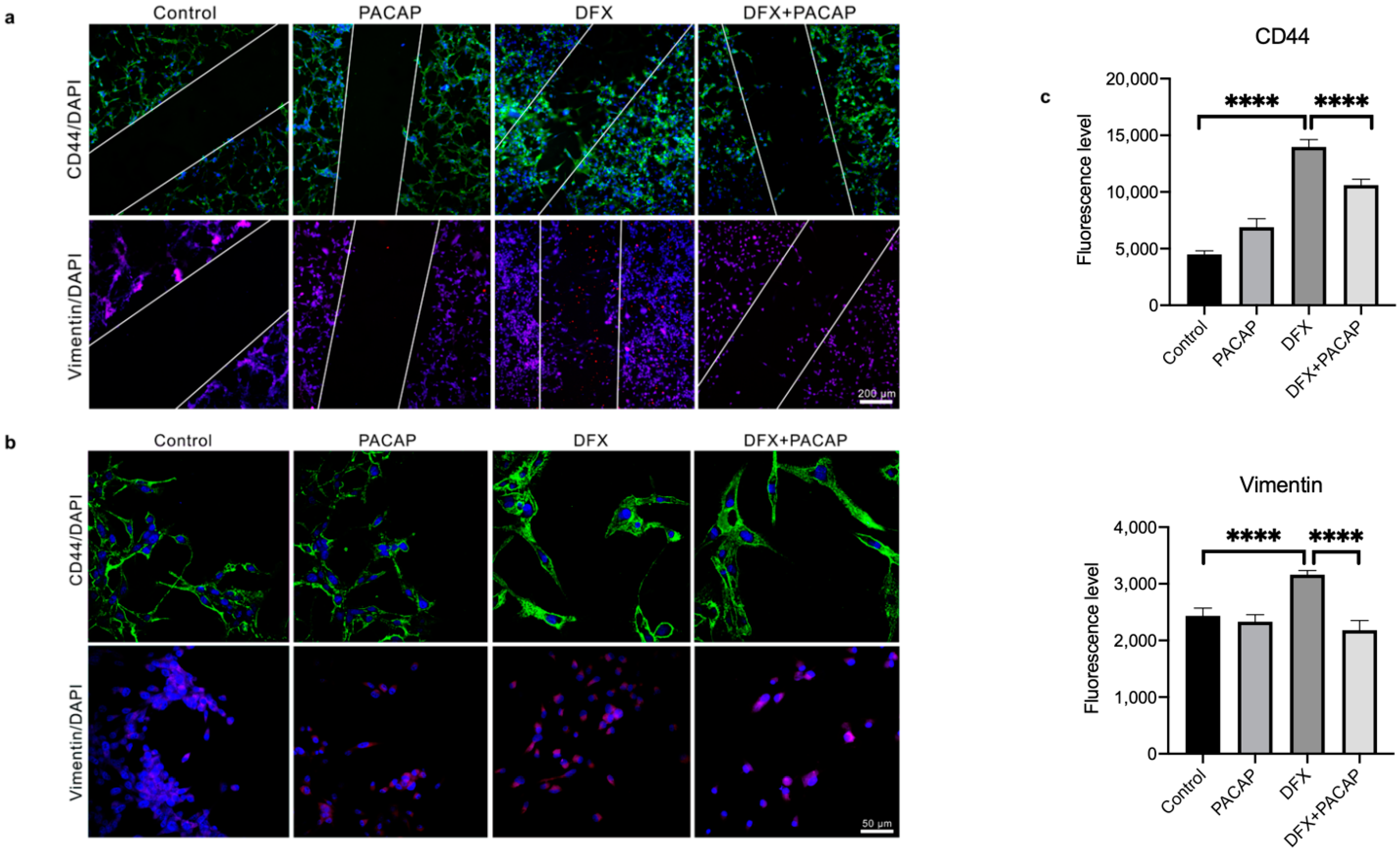 Biomedicines 09 00965 g008