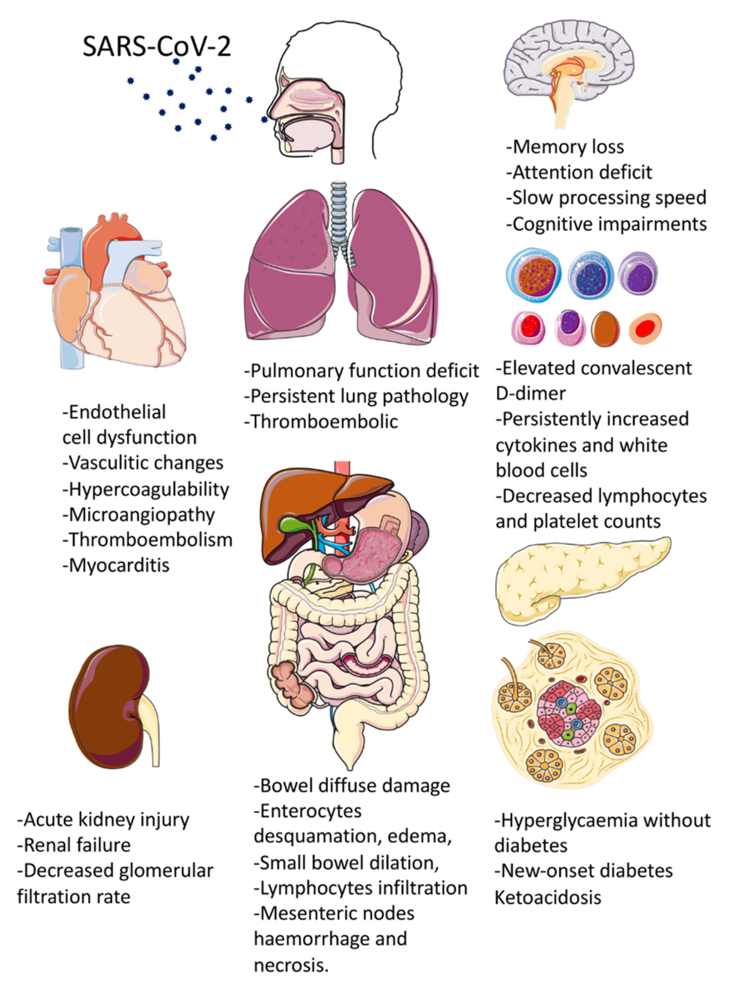 Biomedicines, Free Full-Text