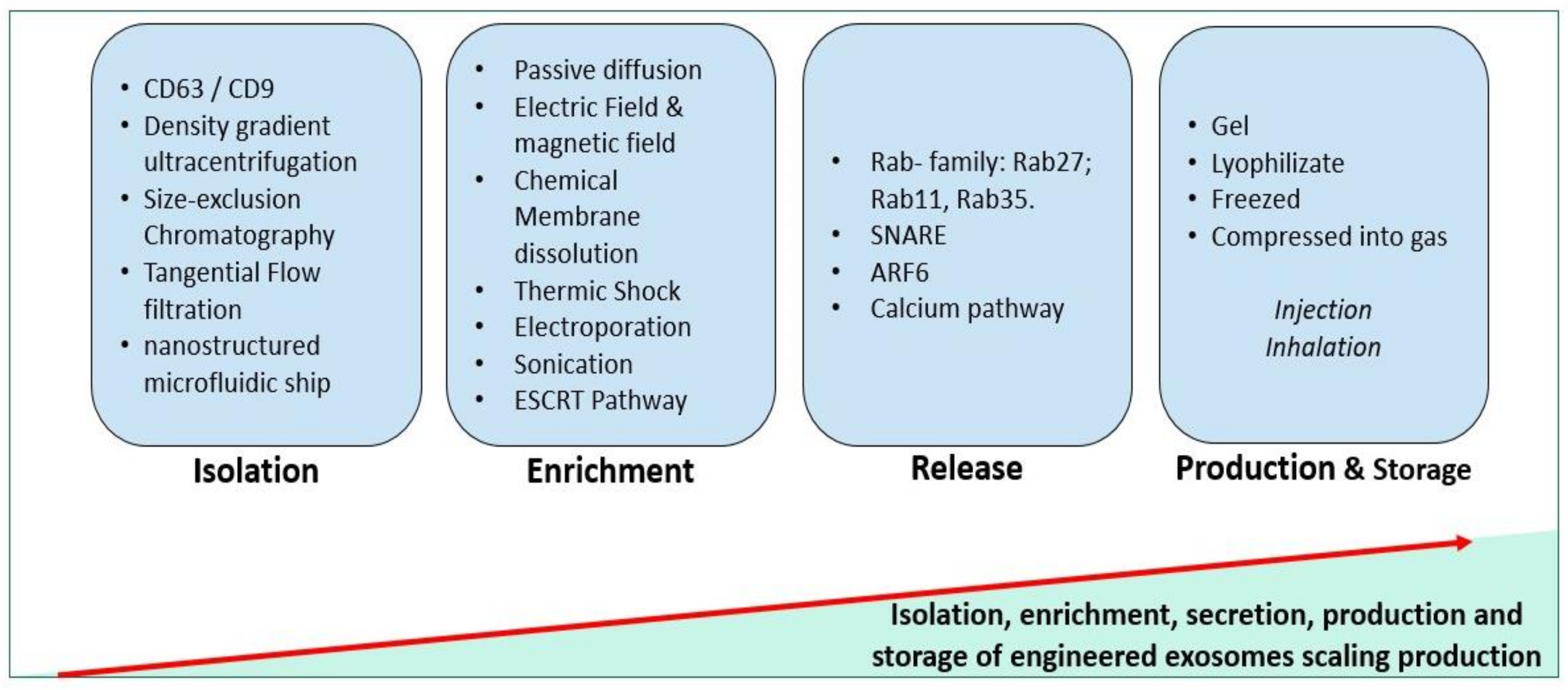 Biomedicines 09 00968 g002 550