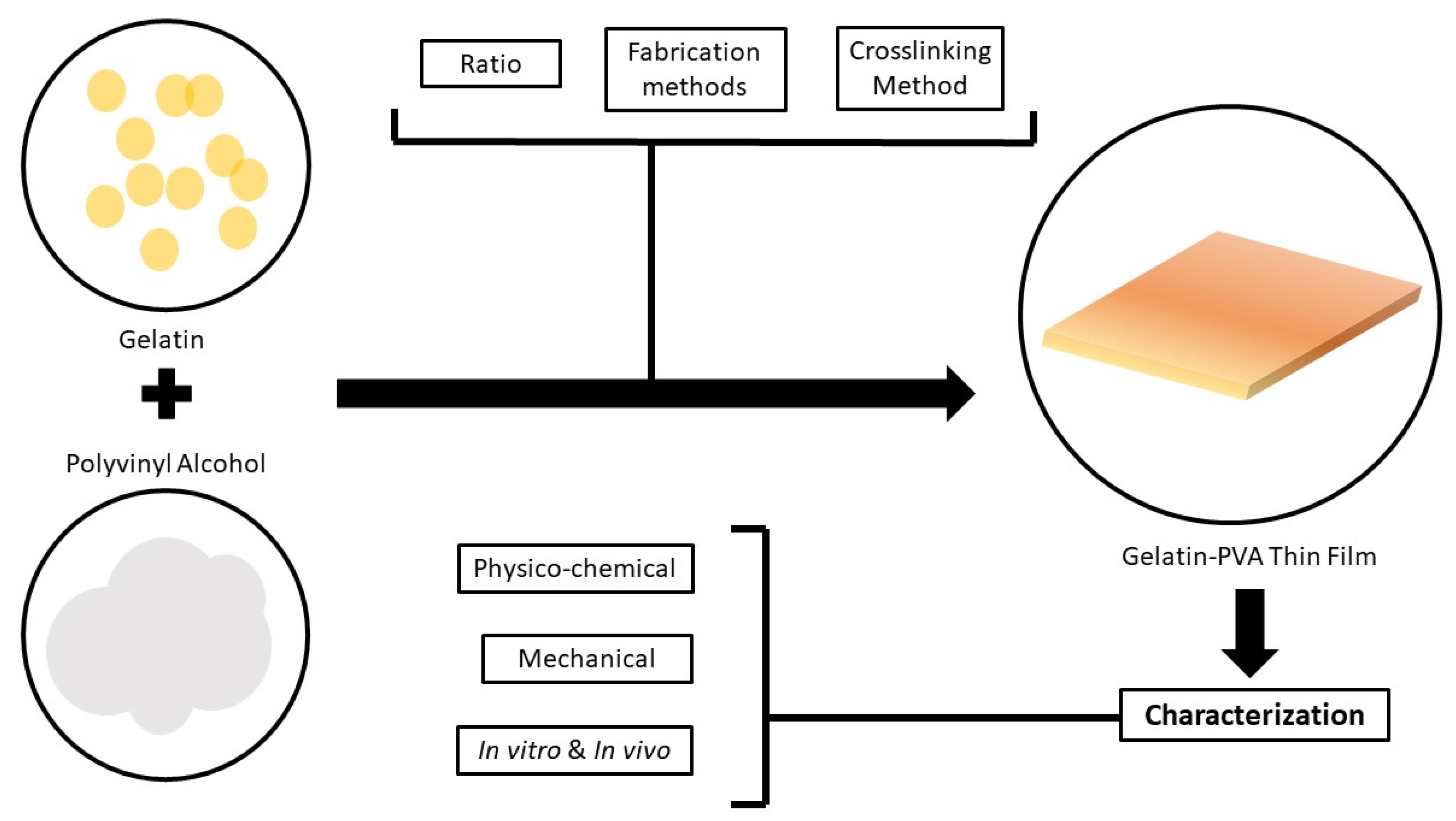 Biomedicines 09 00979 g007
