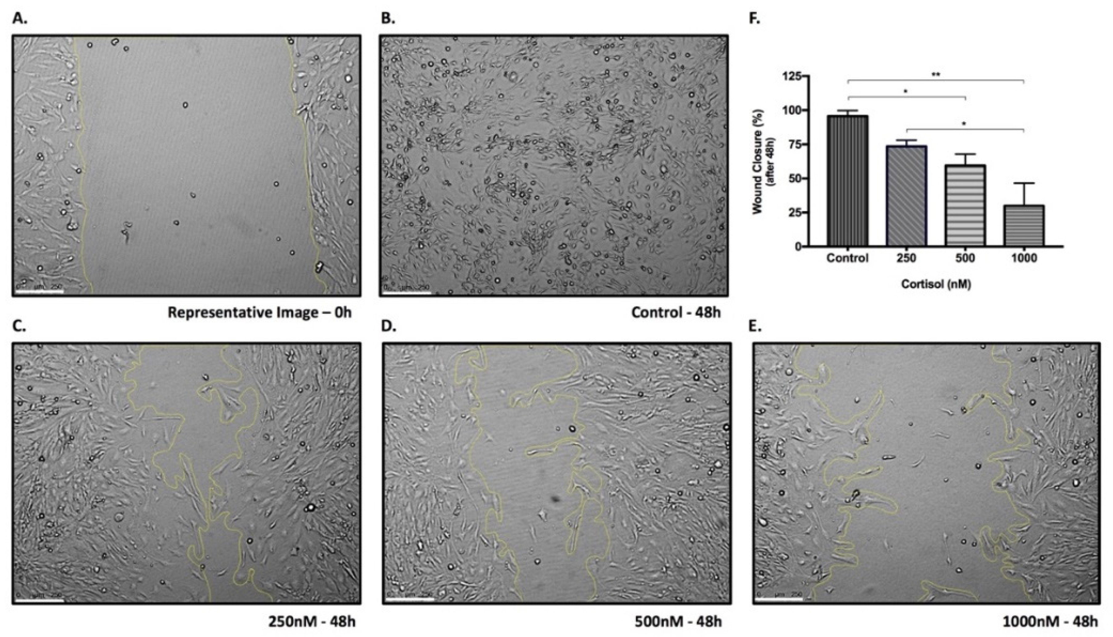 Biomedicines 09 00980 g007 Biomedicines 09 00980 g007