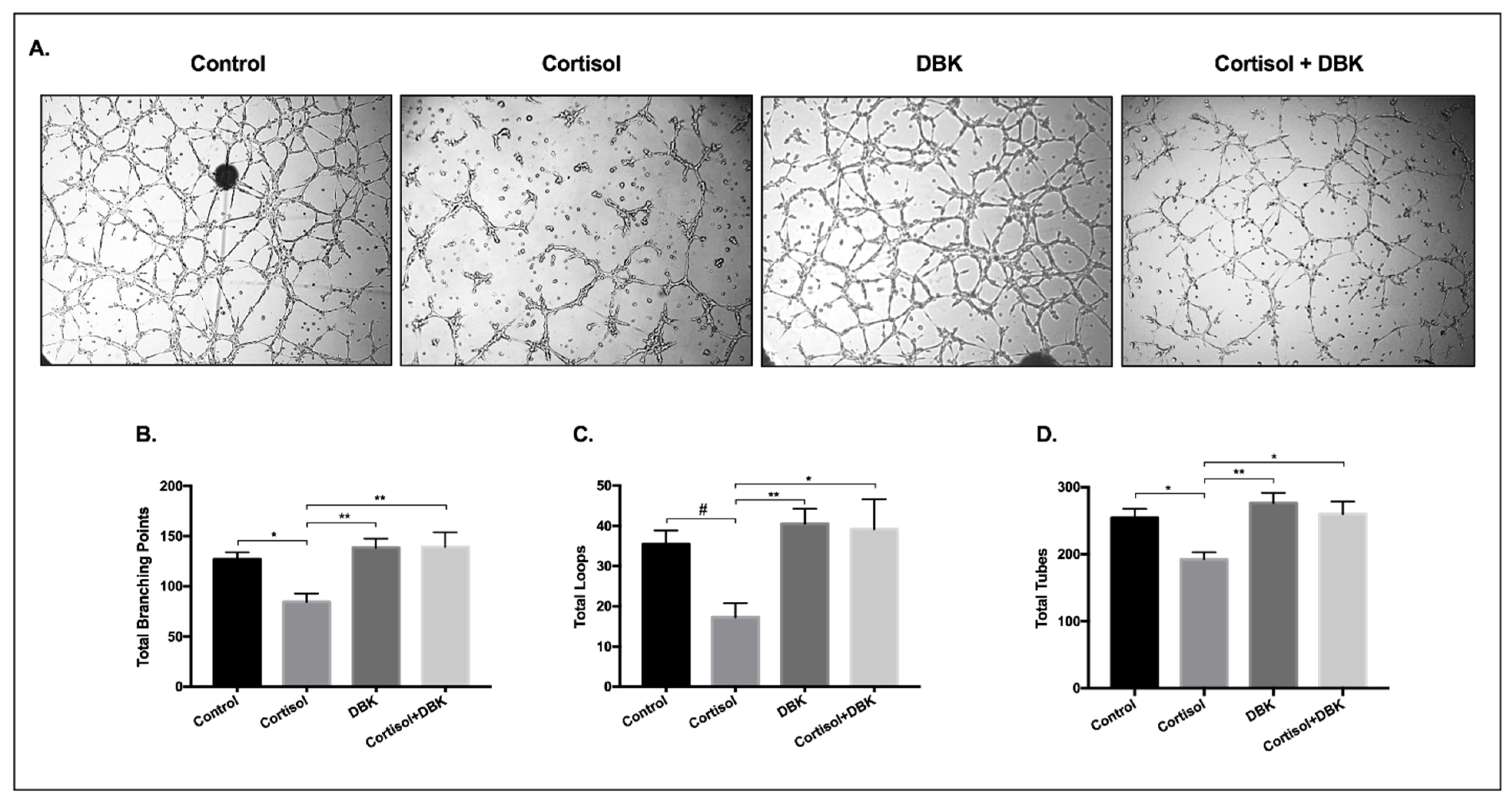 Biomedicines 09 00980 g008 Biomedicines 09 00980 g008