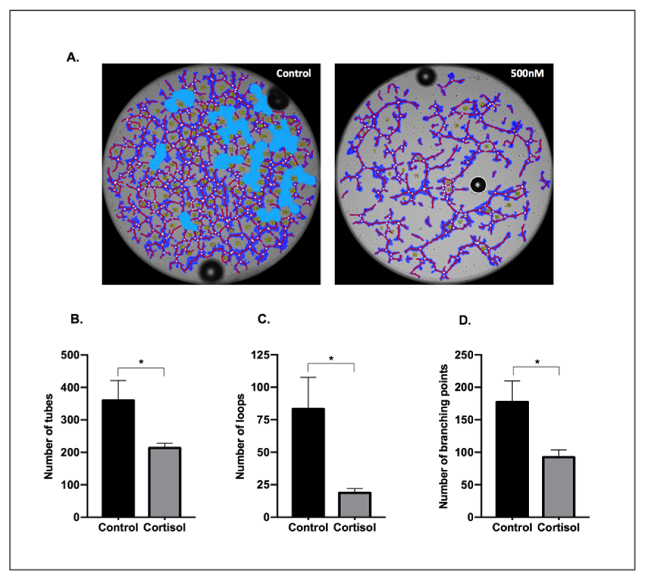 Biomedicines 09 00980 g0a1 Biomedicines 09 00980 g0a1