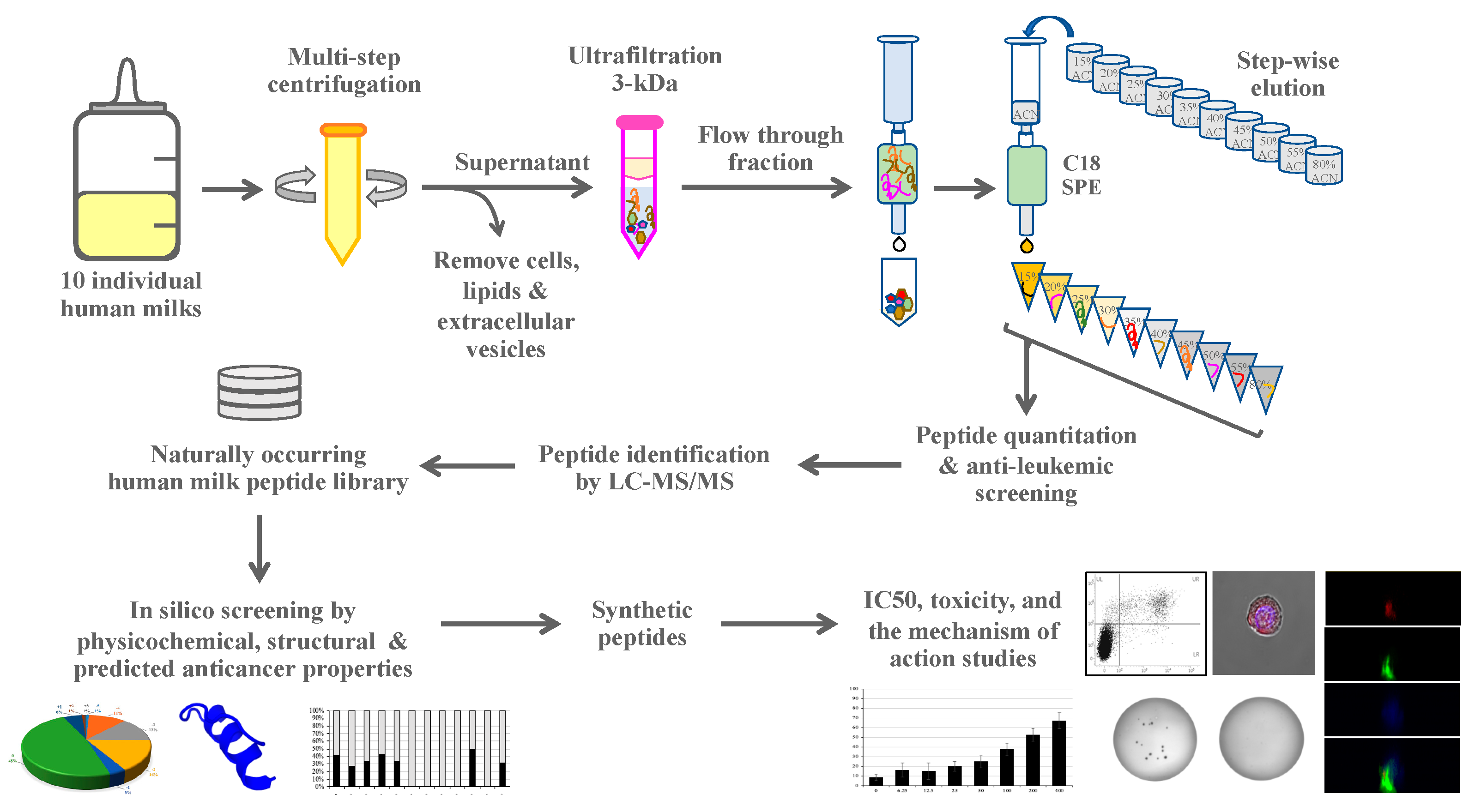 Biomedicines 09 00981 g001