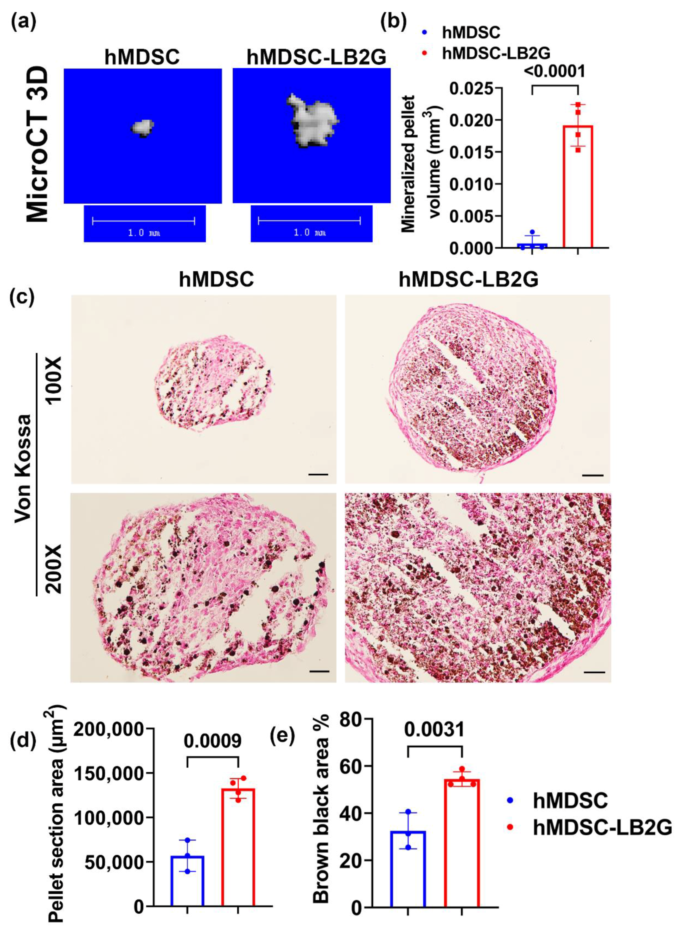 Biomedicines 09 00983 g001 550