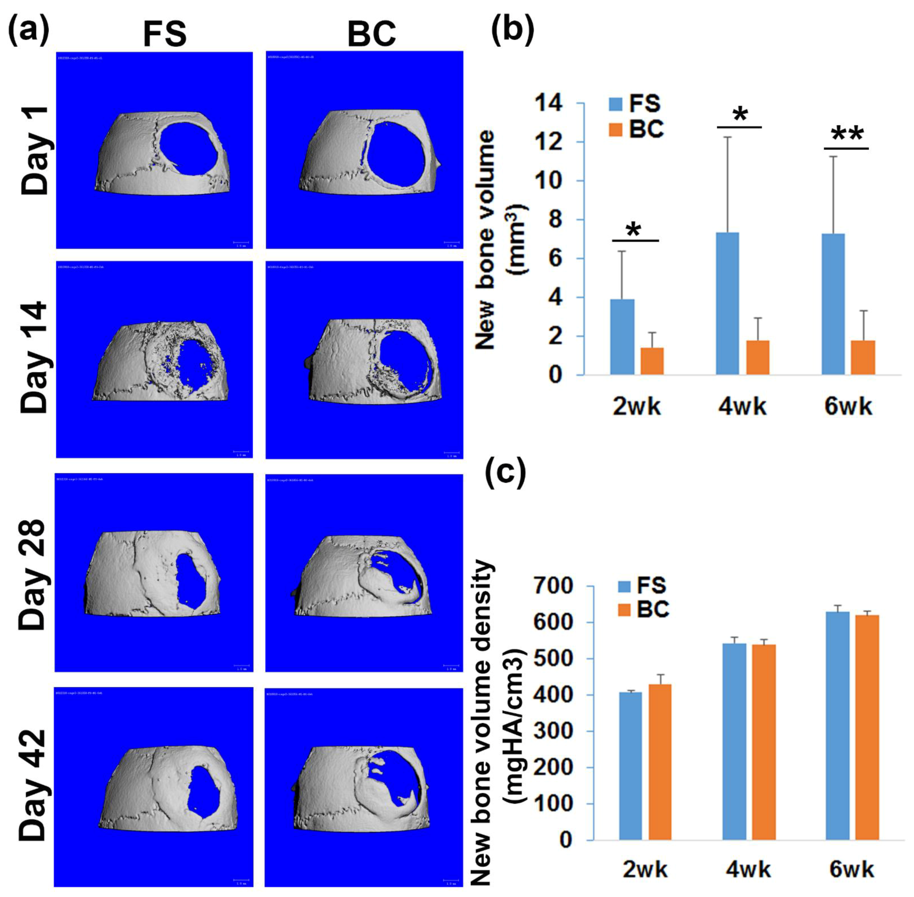 Biomedicines 09 00983 g003 550