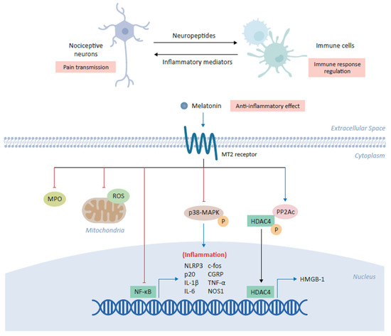 Biomedicines 09 00984 g002 550