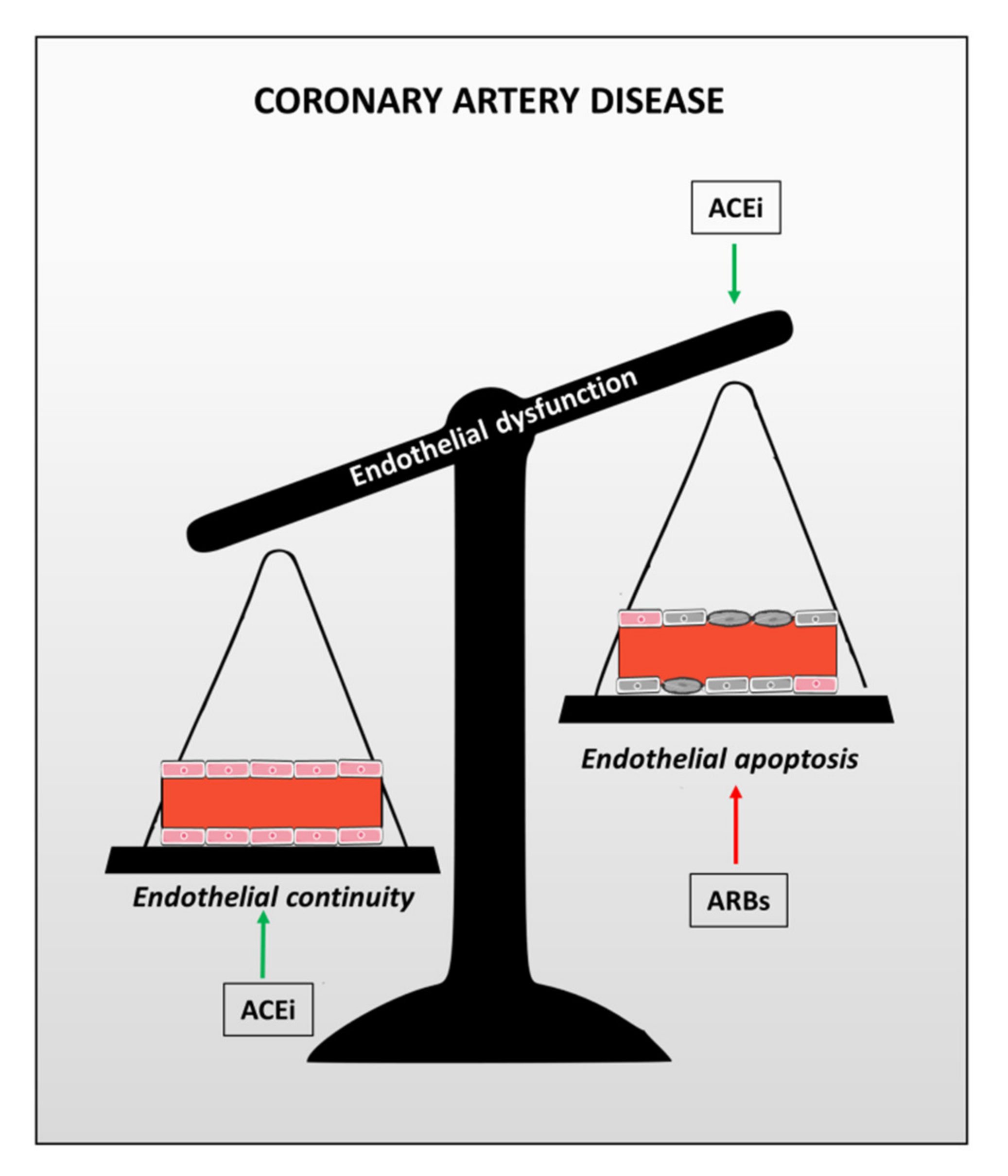 Biomedicines 09 00997 g001