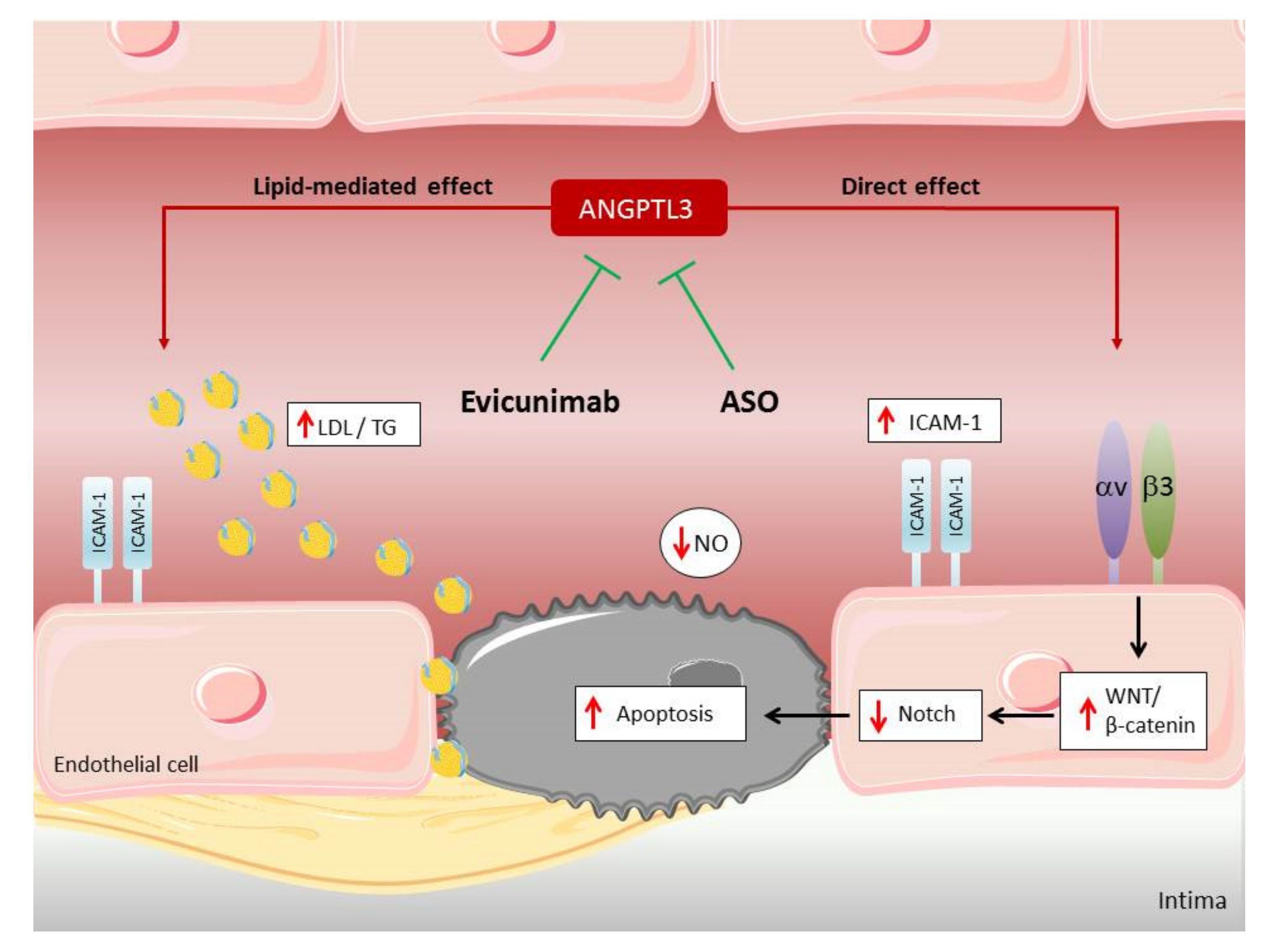Biomedicines 09 00997 g004