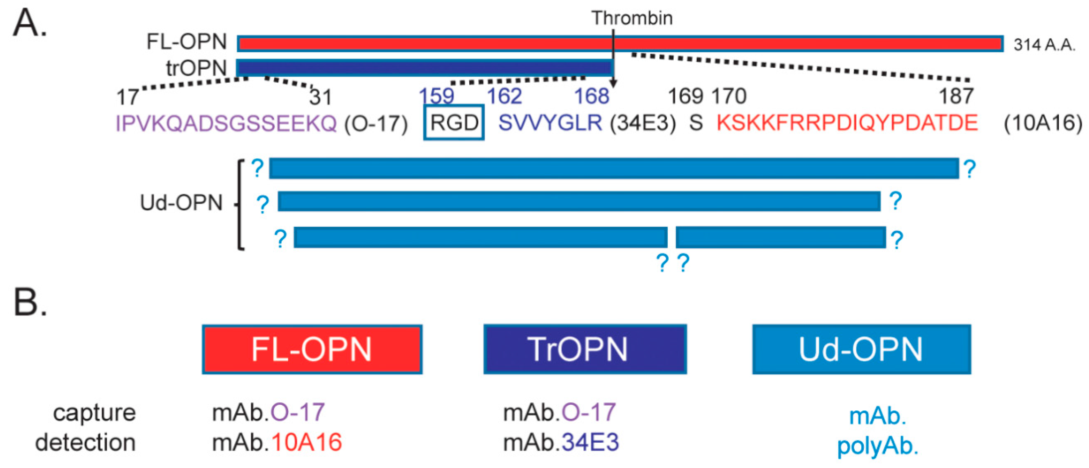 Biomedicines 09 01006 g001 Biomedicines 09 01006 g001