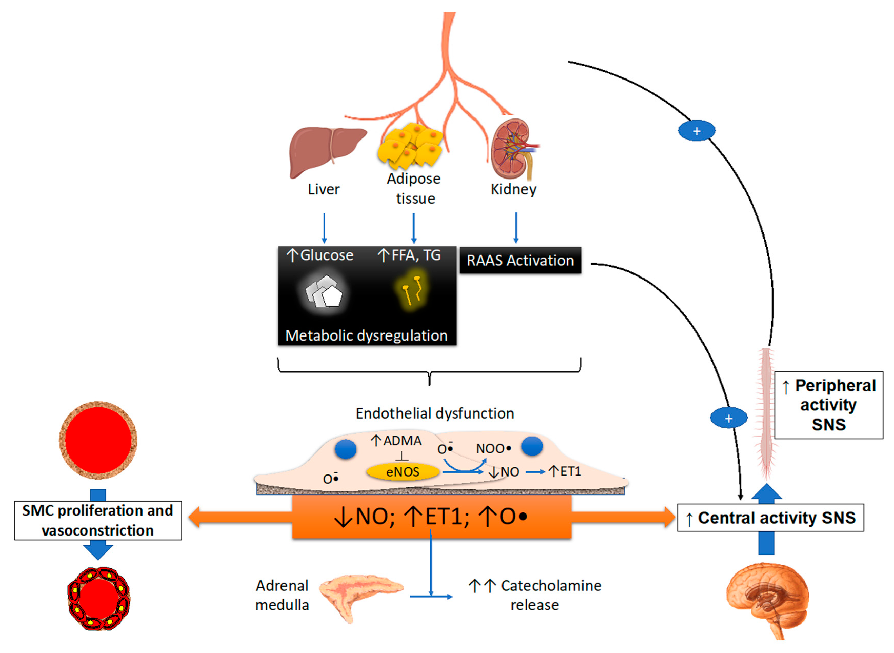 Biomedicines 09 01007 g001 Biomedicines 09 01007 g001