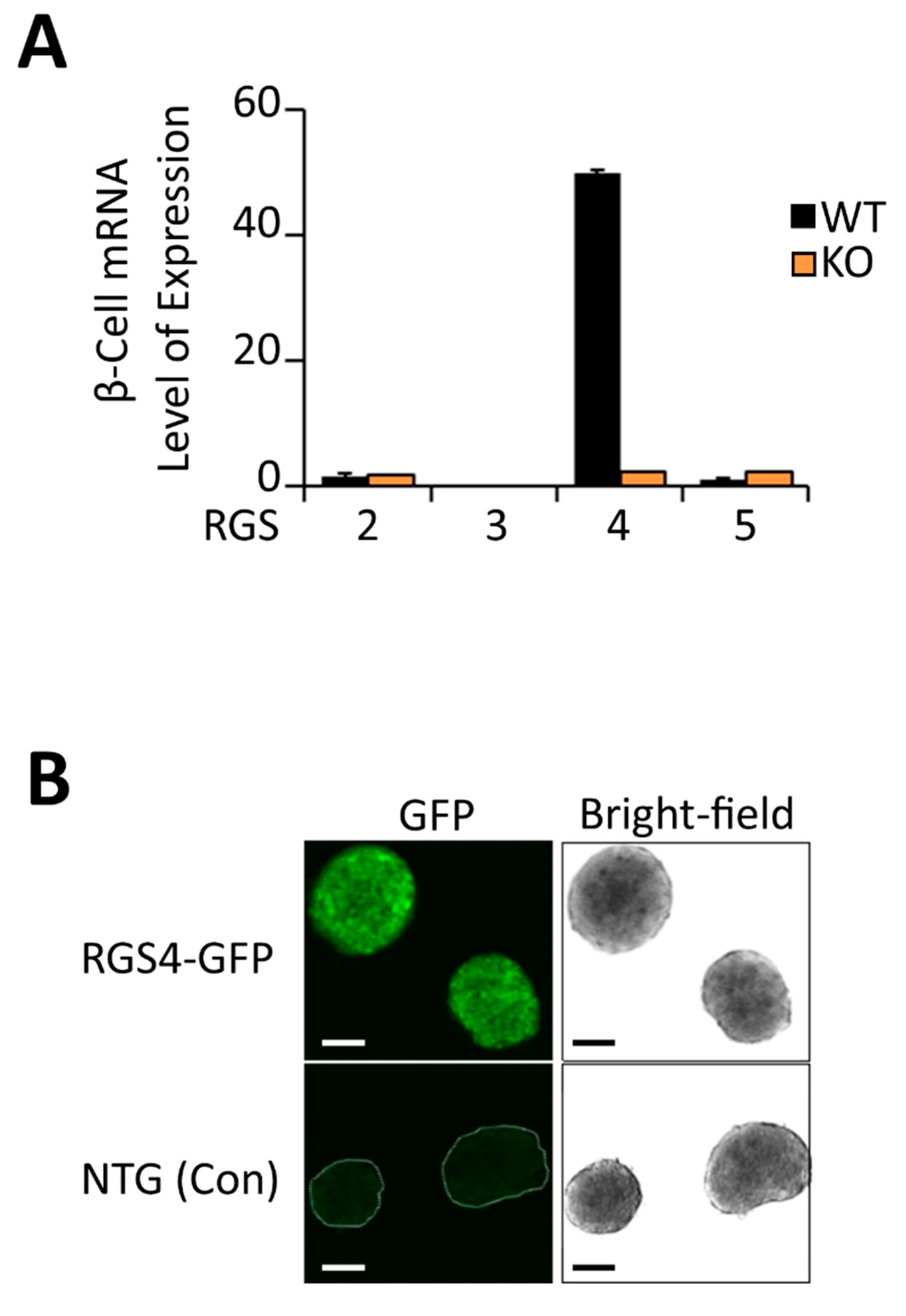 Biomedicines 09 01008 g001 Biomedicines 09 01008 g001