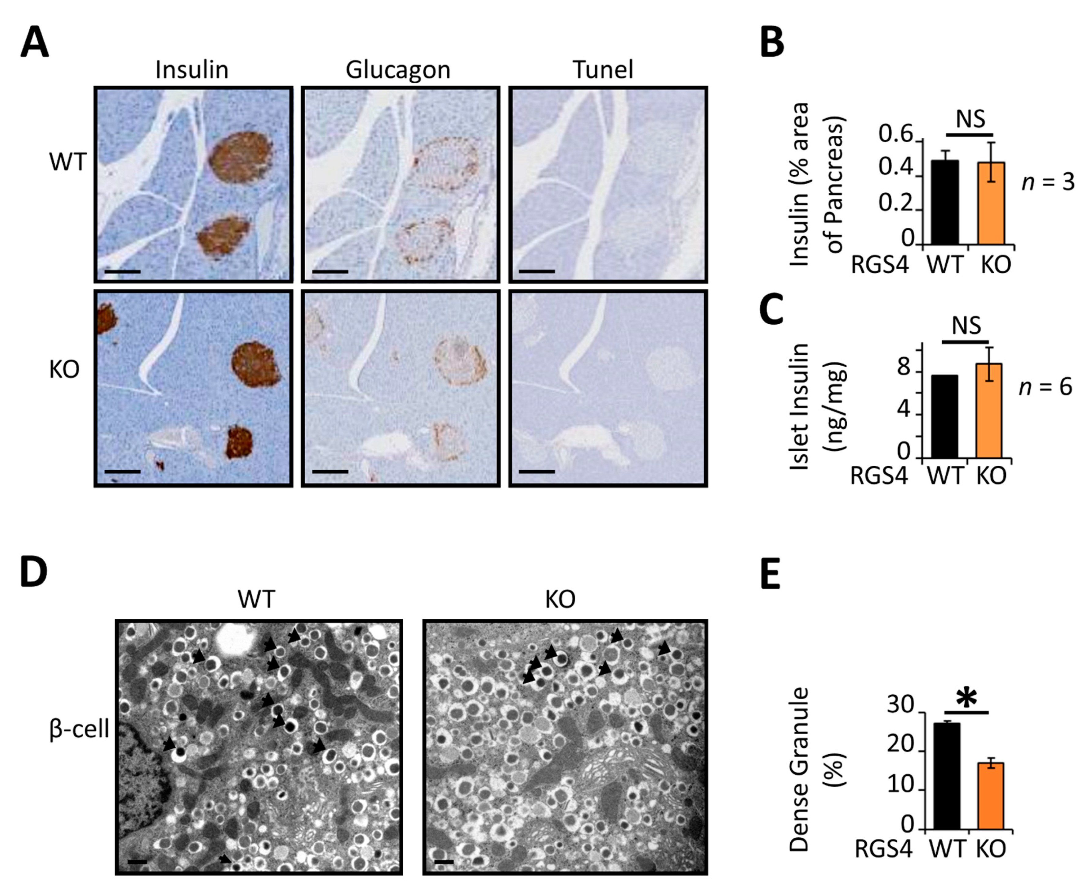 Biomedicines 09 01008 g003 Biomedicines 09 01008 g003