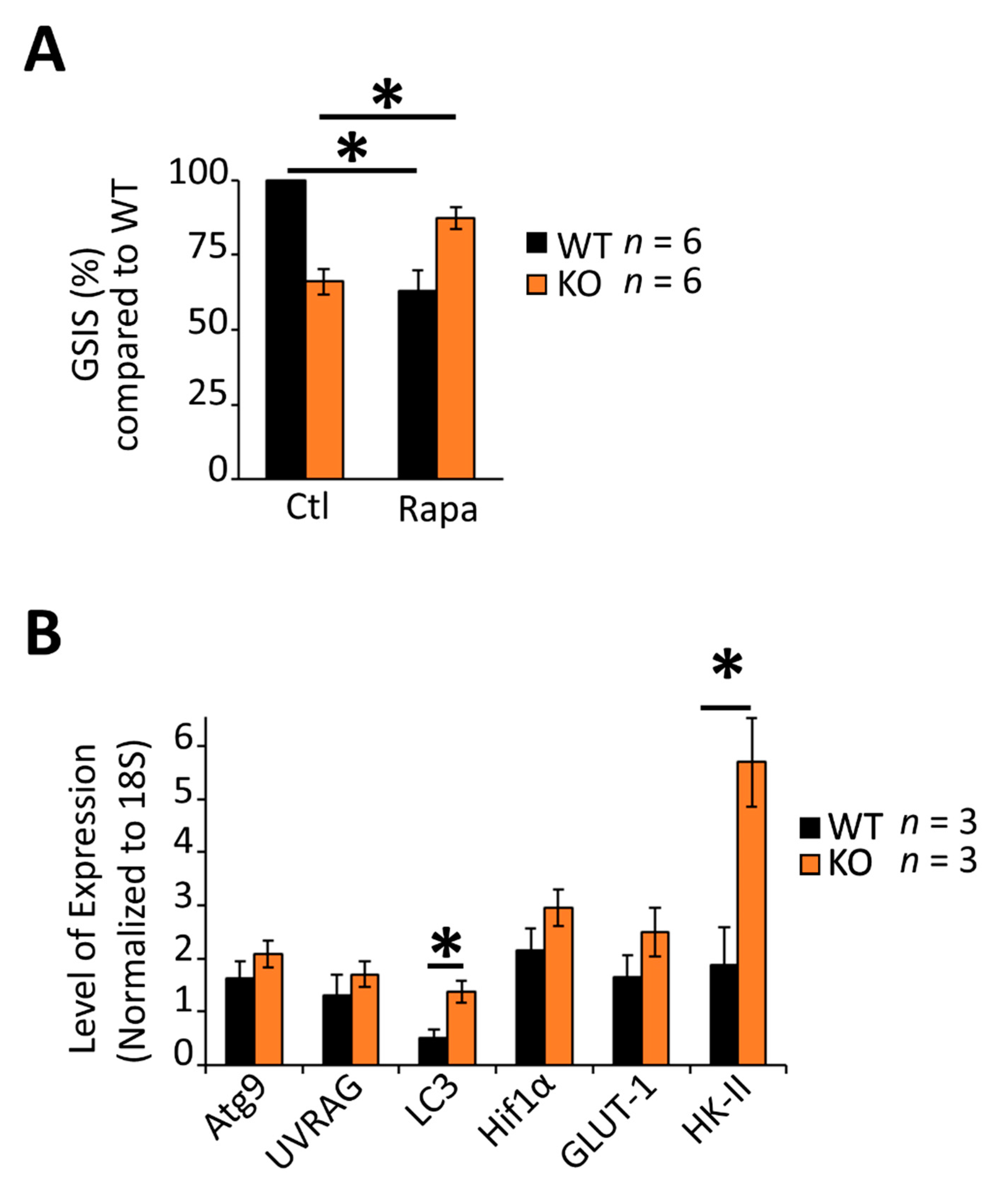 Biomedicines 09 01008 g004 Biomedicines 09 01008 g004