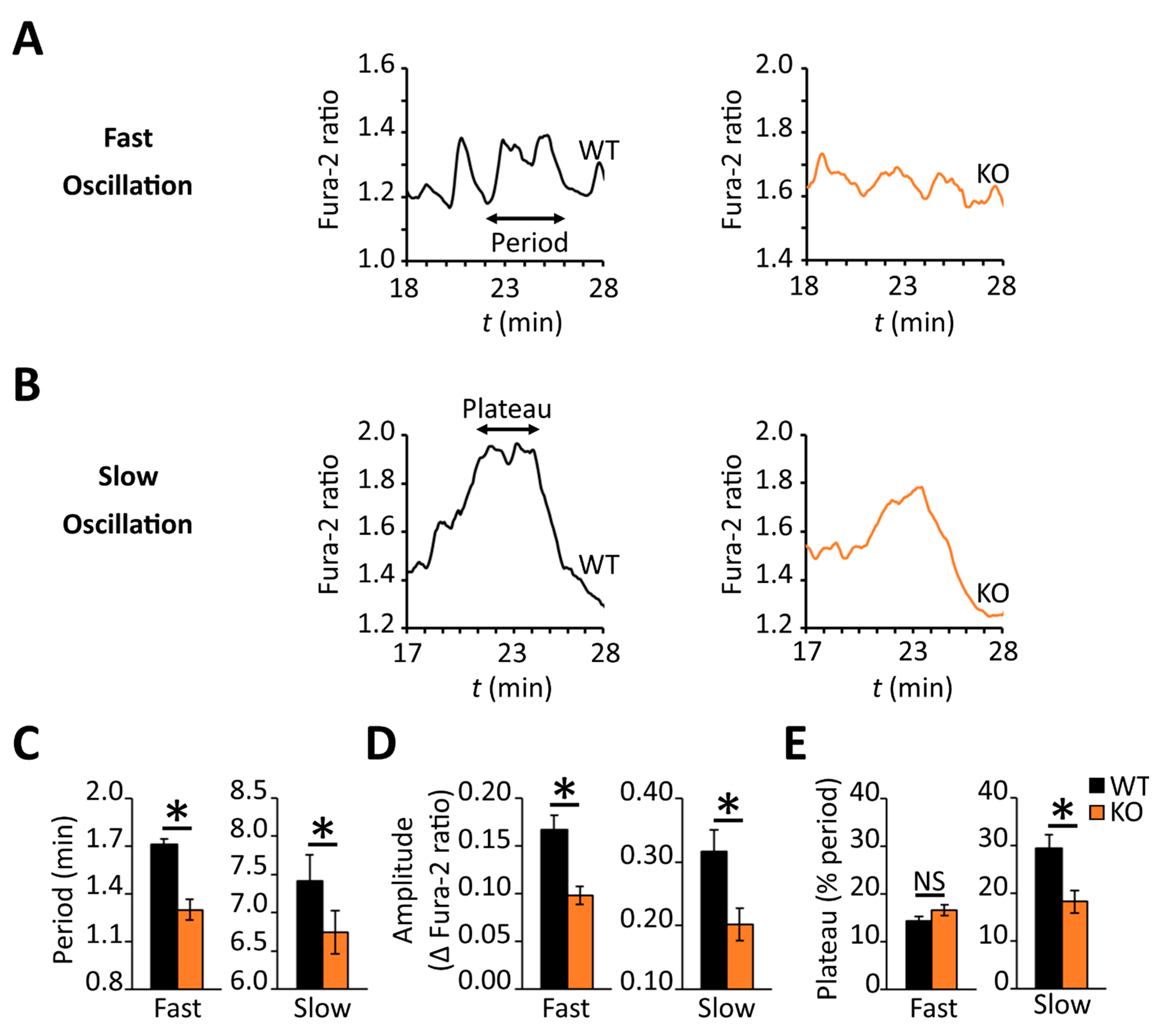 Biomedicines 09 01008 g008 Biomedicines 09 01008 g008