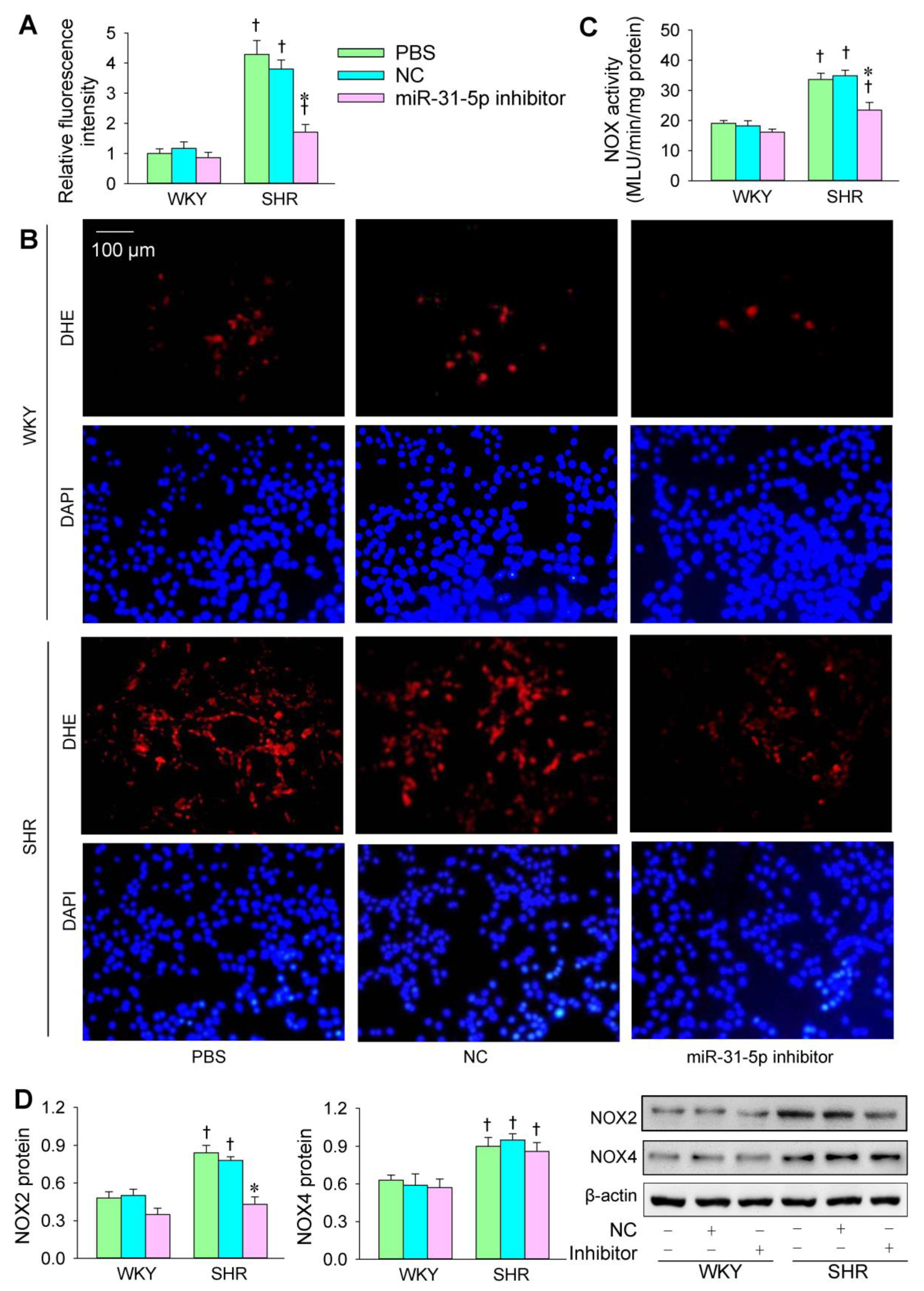 Biomedicines 09 01009 g002