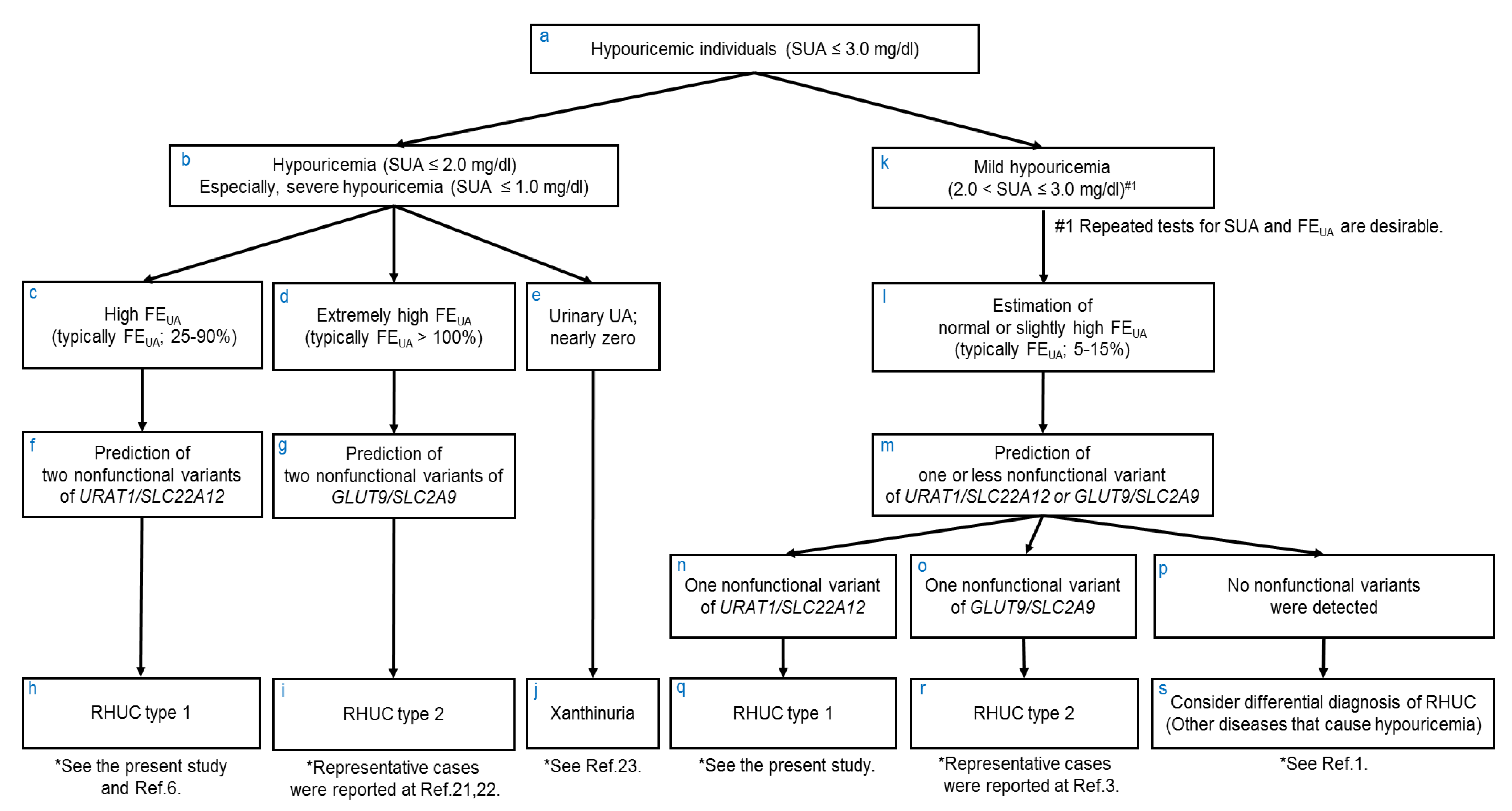 Biomedicines 09 01012 g003