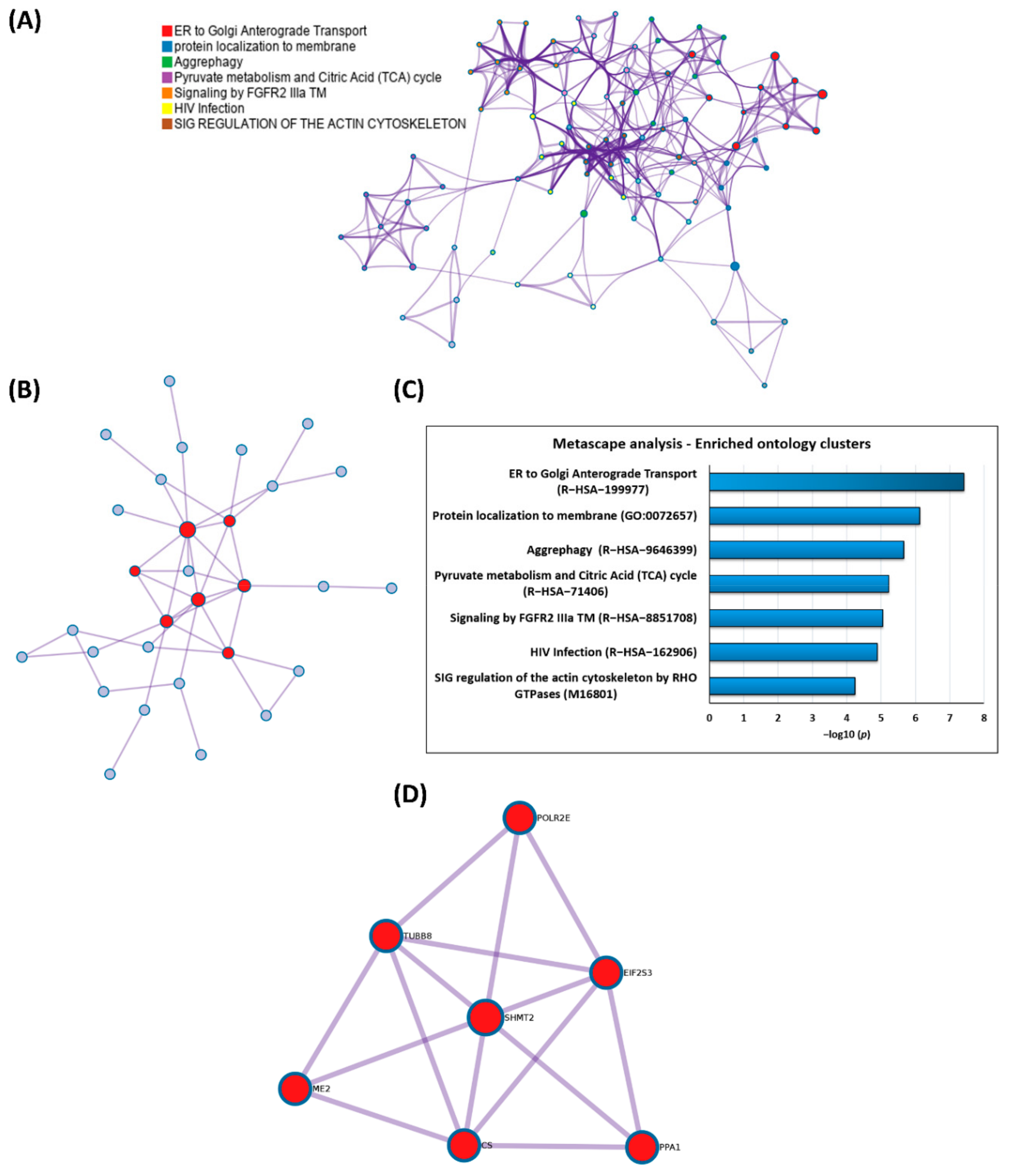 Biomedicines 09 01013 g005