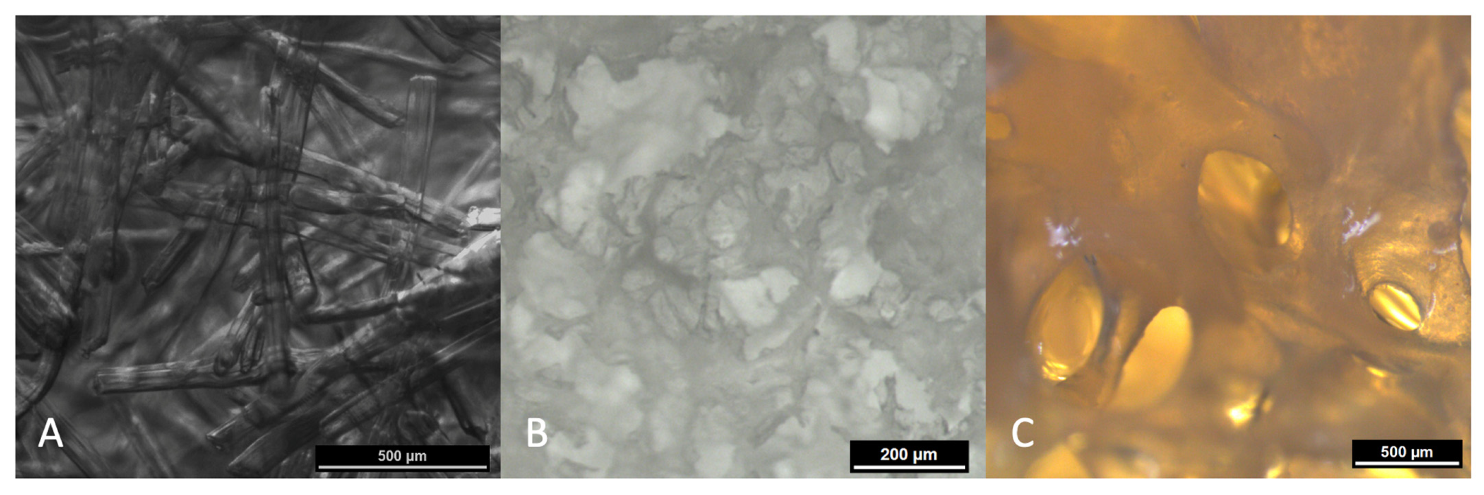 Biomedicines 09 01015 g001 550