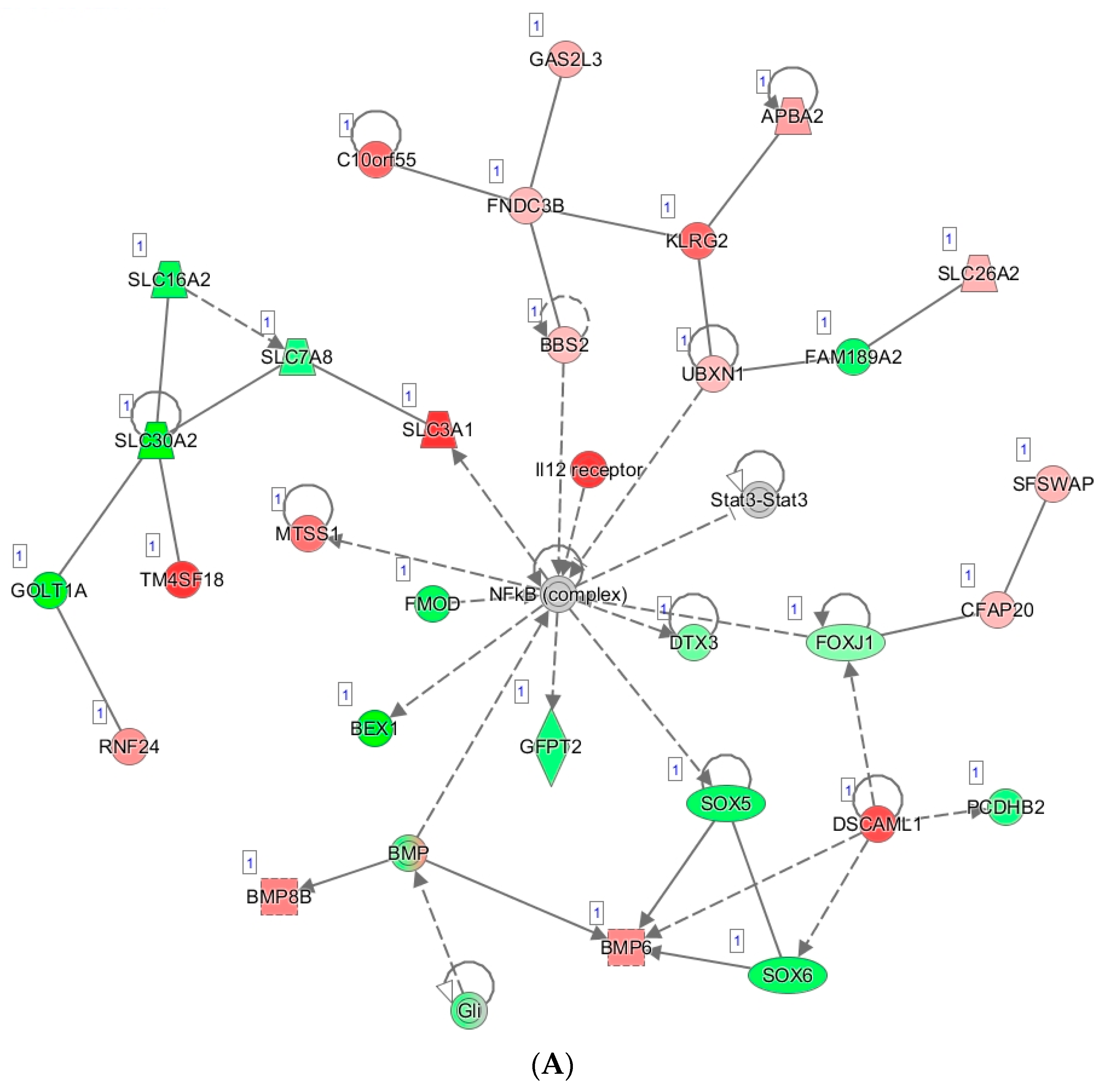 Biomedicines 09 01021 g008a