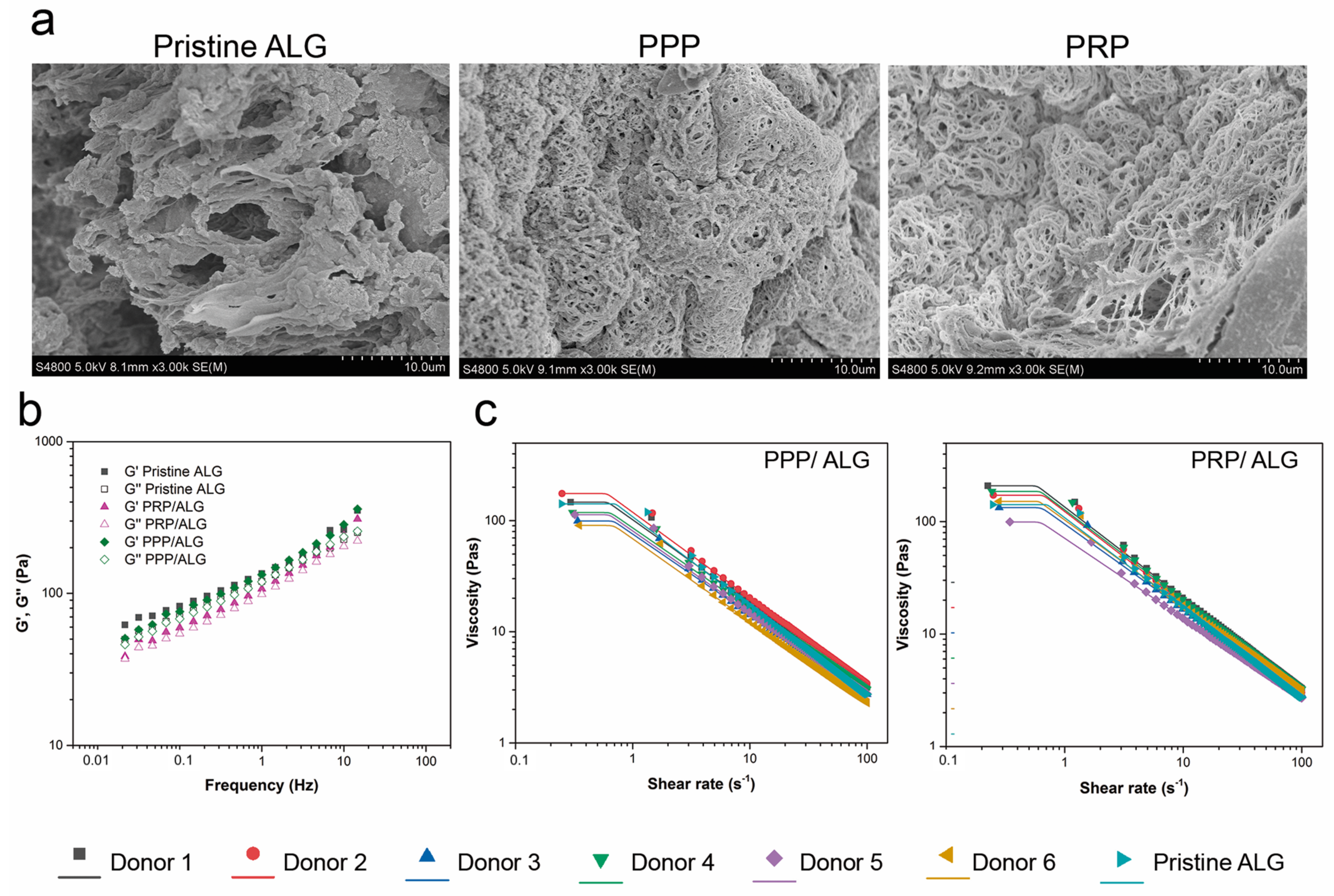 Biomedicines 09 01023 g001 550