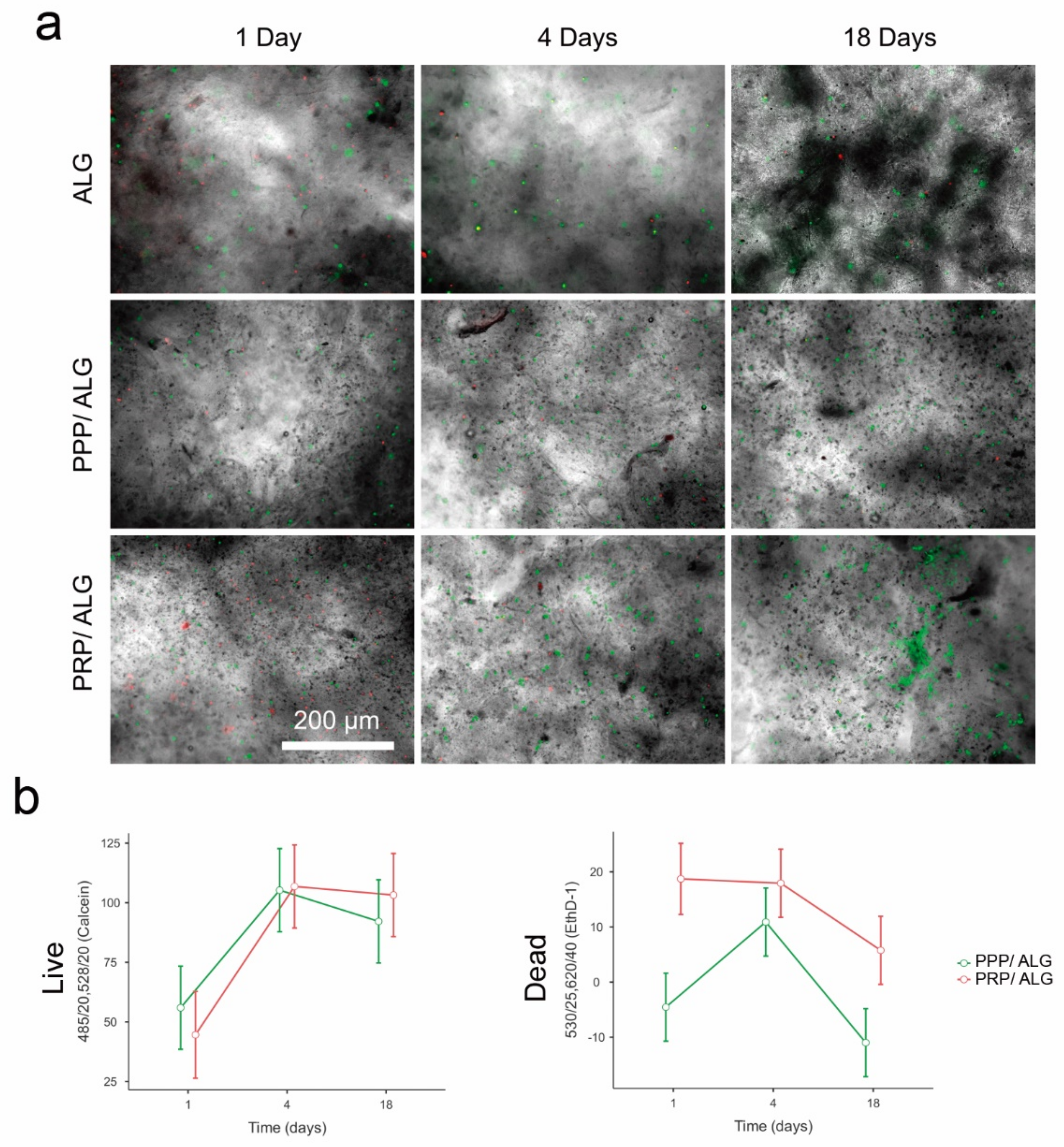 Biomedicines 09 01023 g004 550