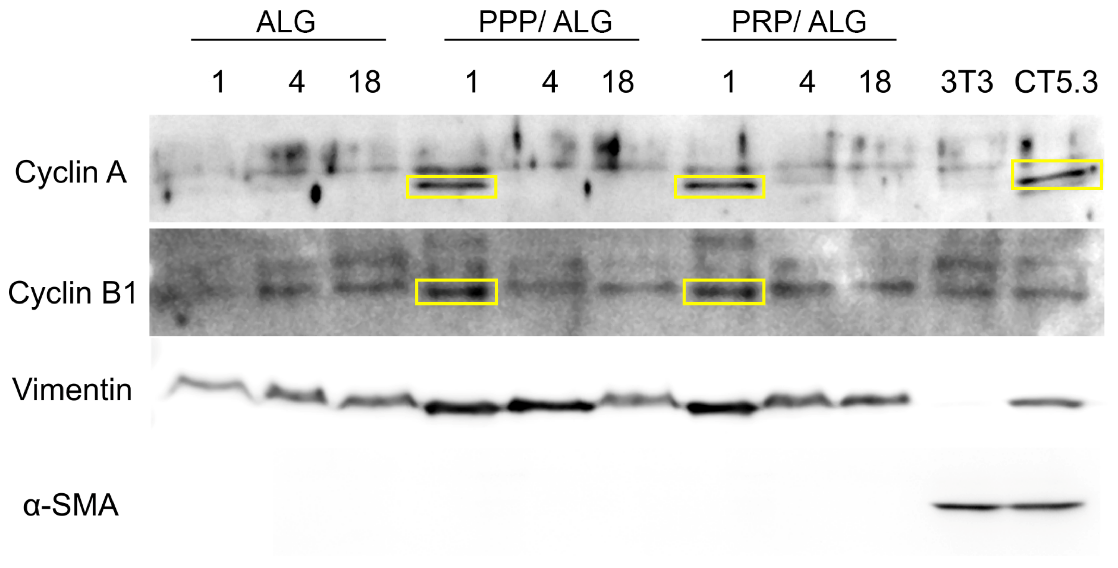 Biomedicines 09 01023 g006 550