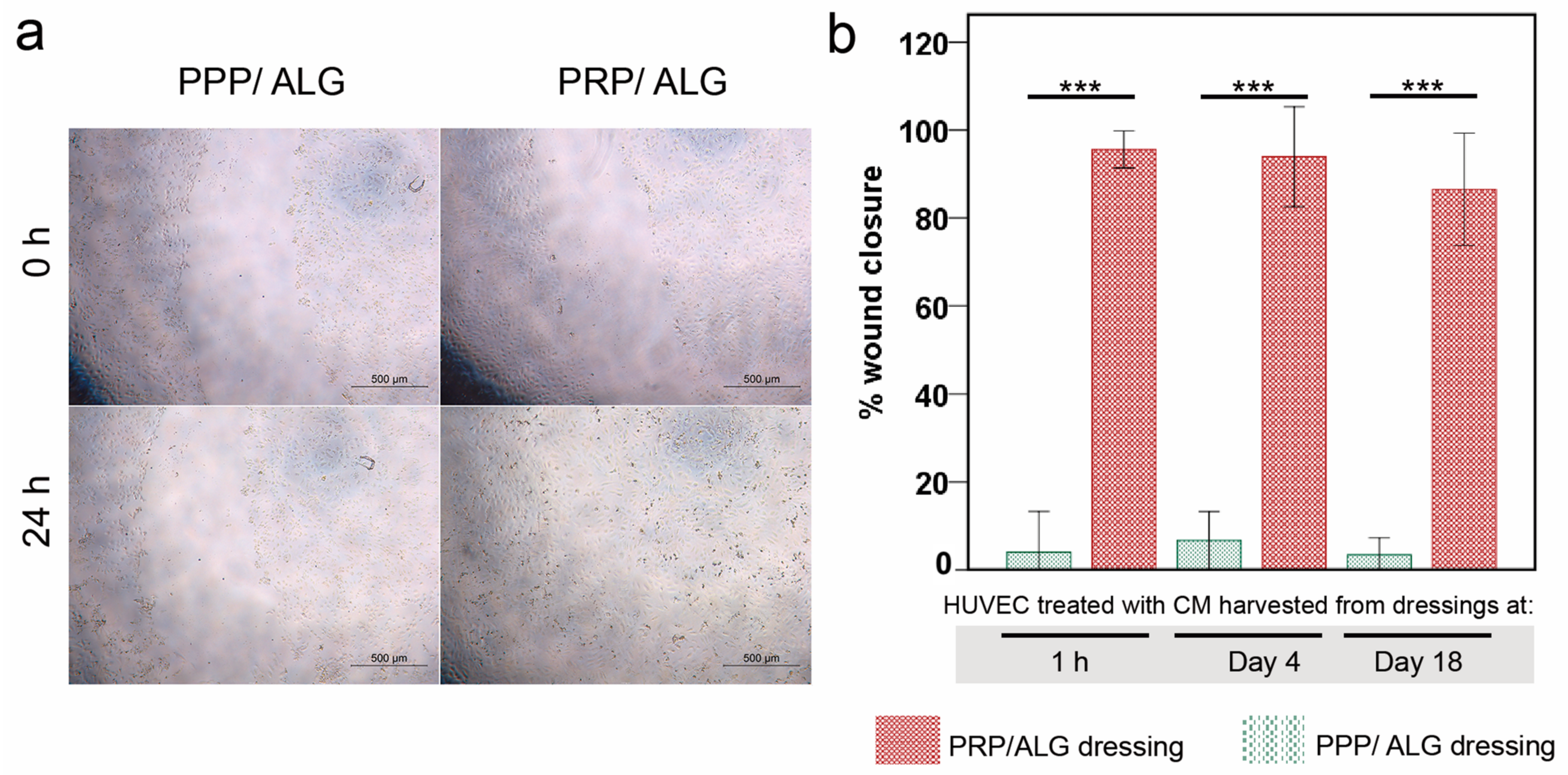 Biomedicines 09 01023 g009 550