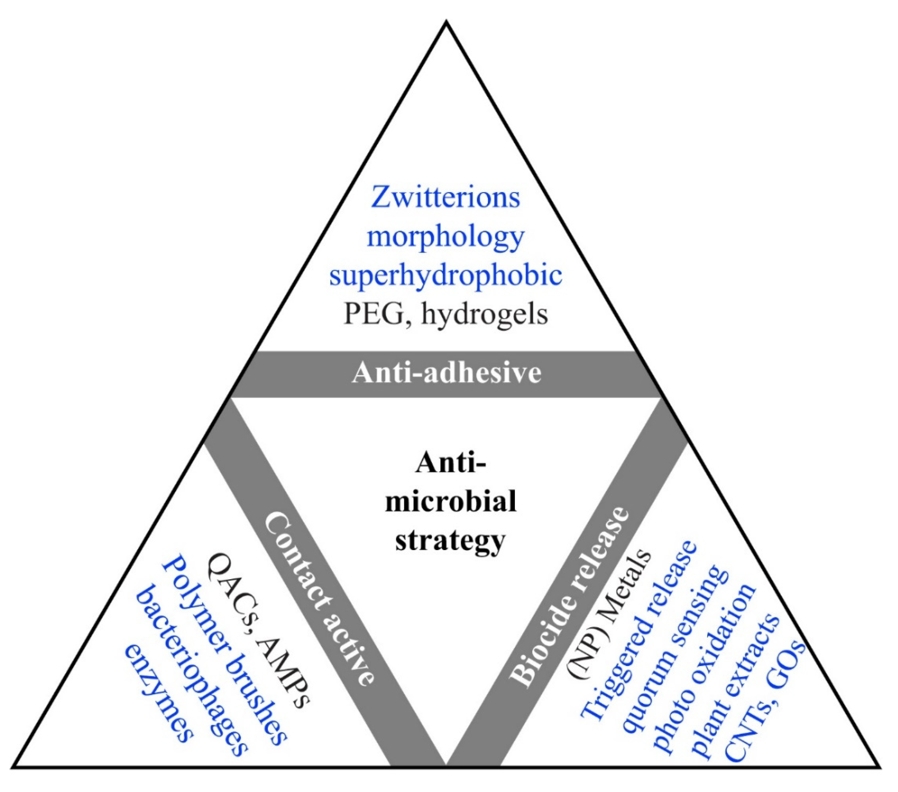 Biomedicines 09 01025 g003