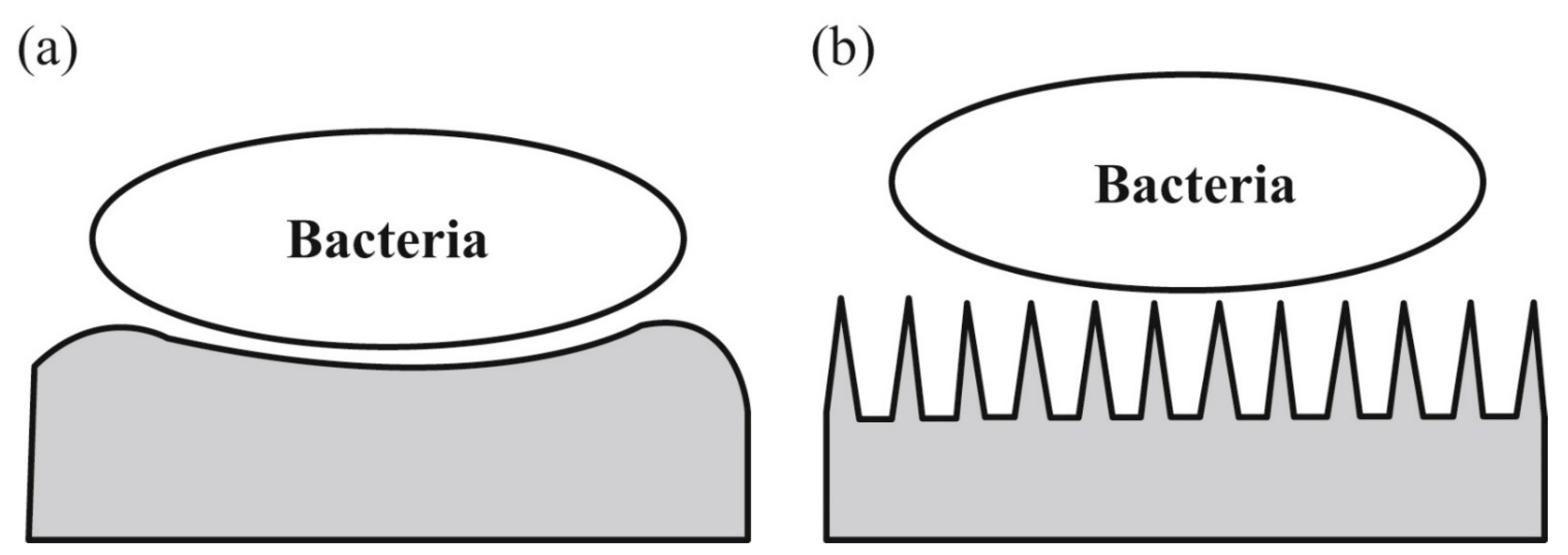 Biomedicines 09 01025 g004