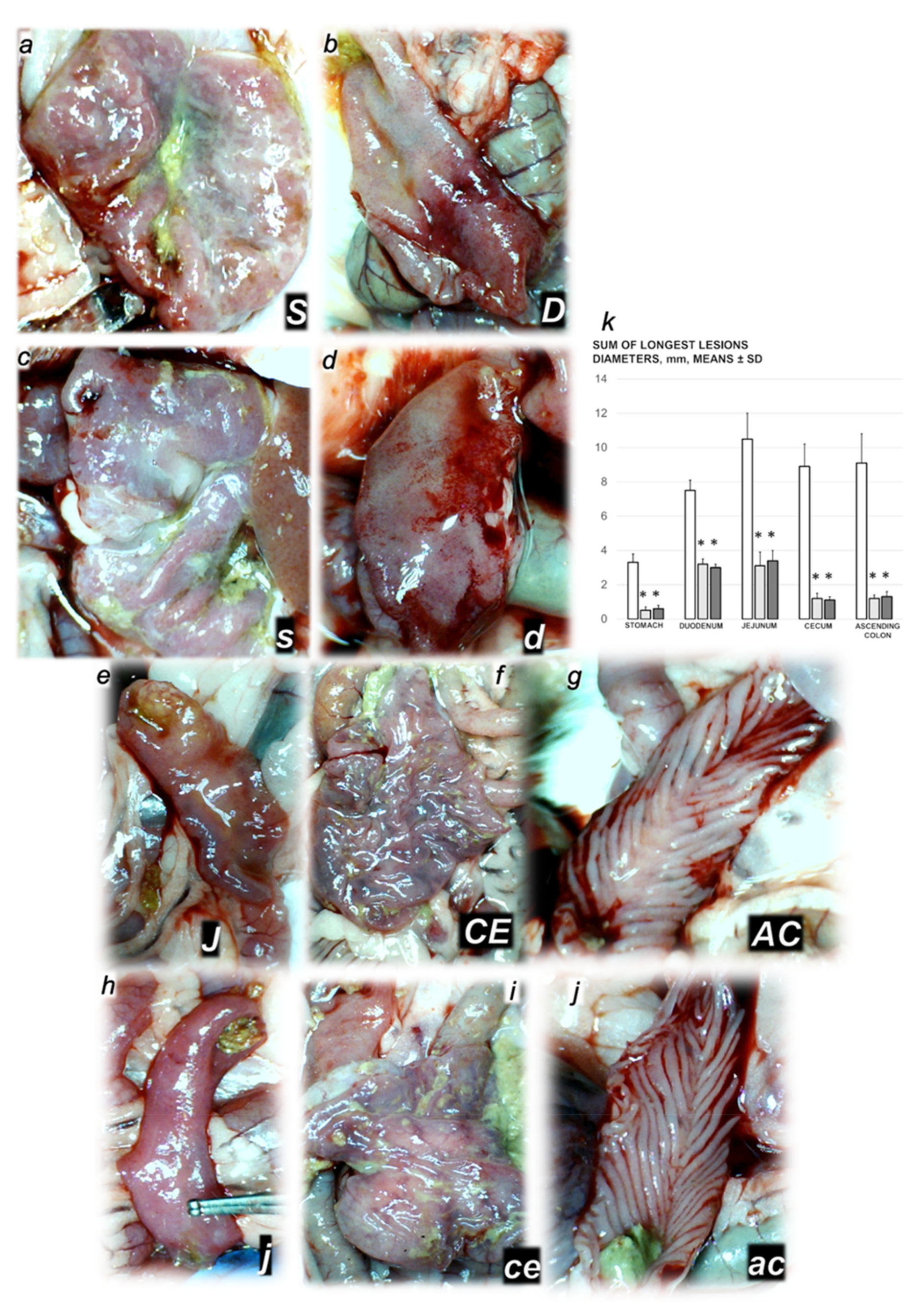 Biomedicines 09 01029 g005