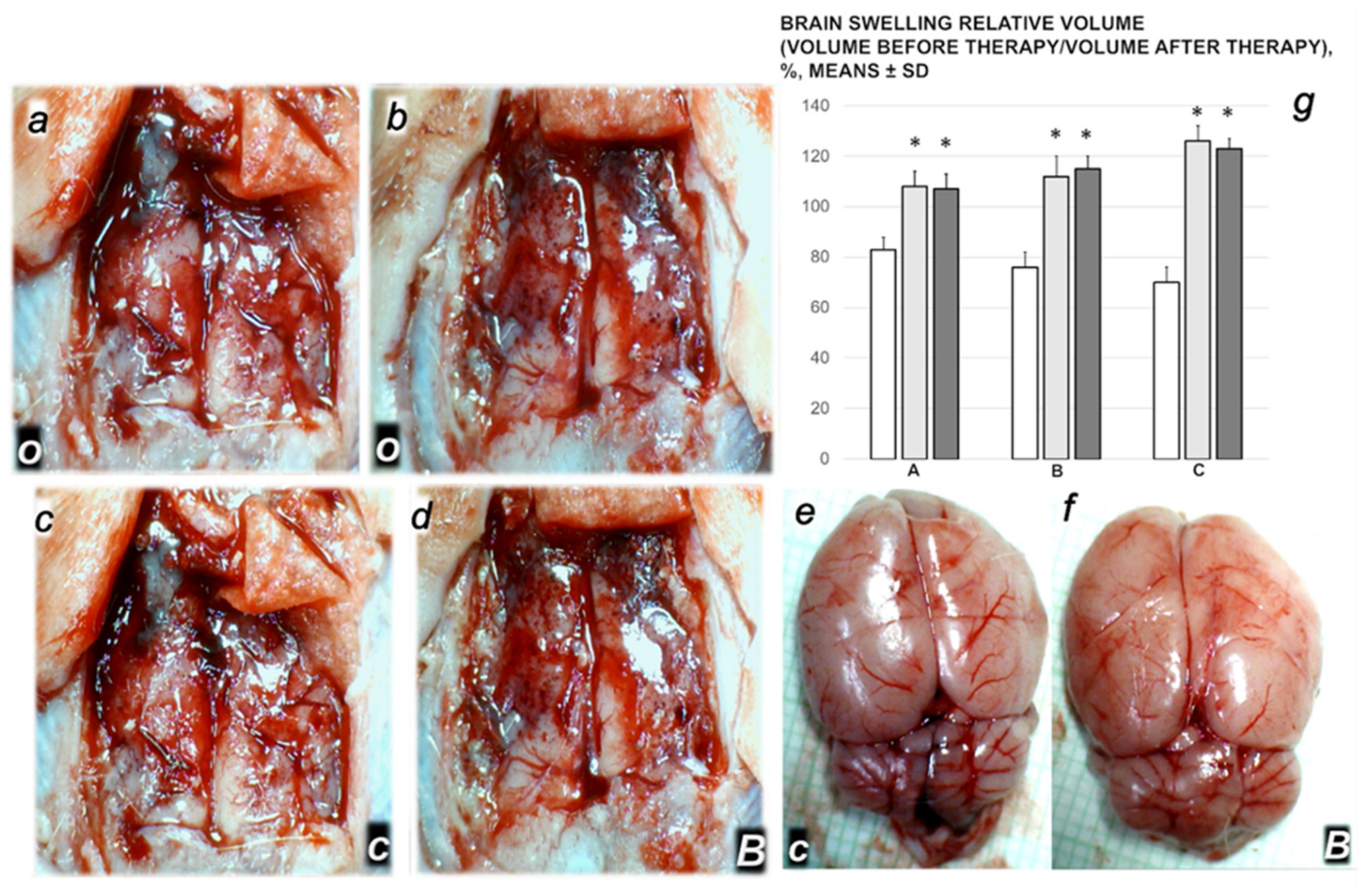 Biomedicines 09 01029 g009