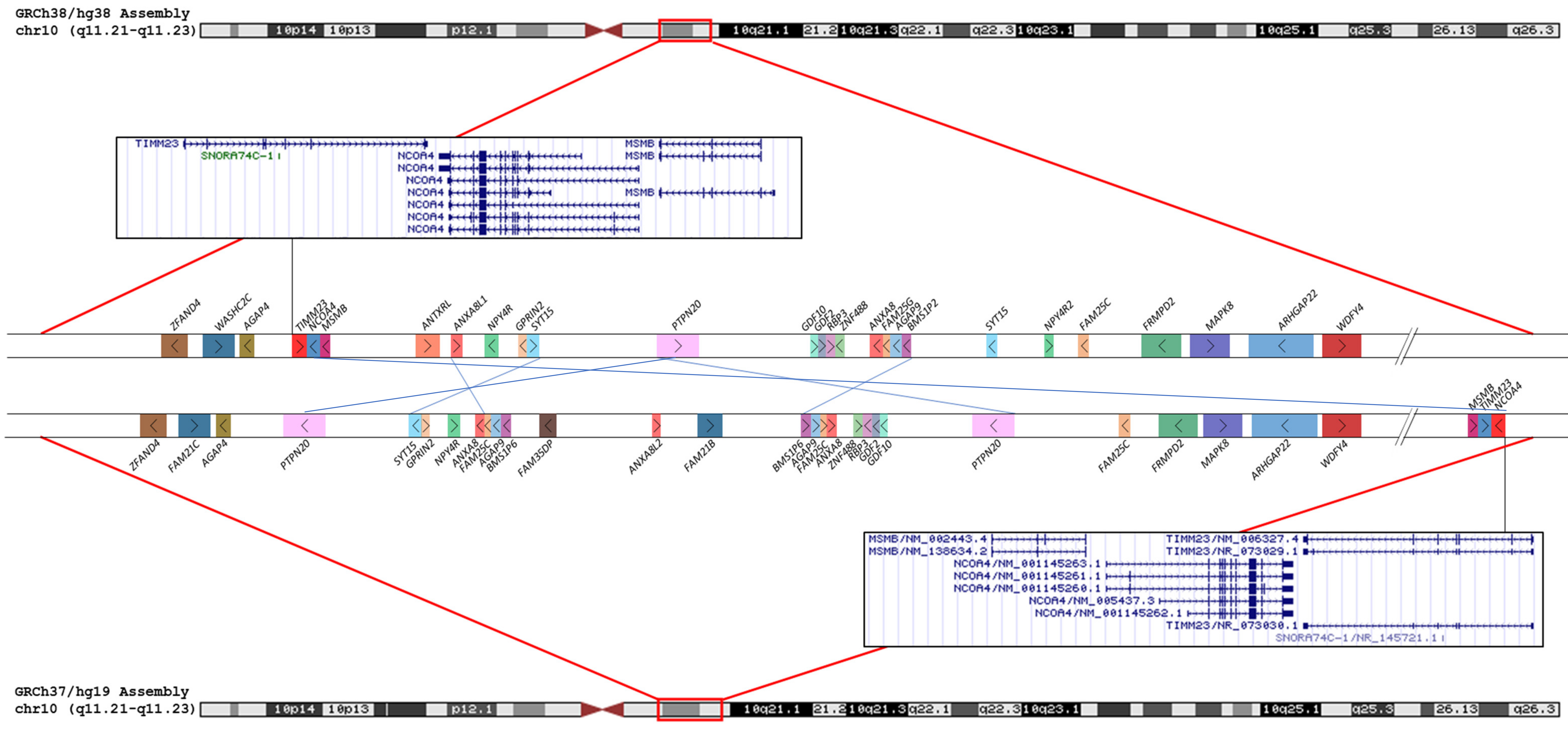 Biomedicines 09 01030 g012