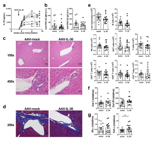 B' Flow ピンク Capillary leak and endothelial permeability in critically