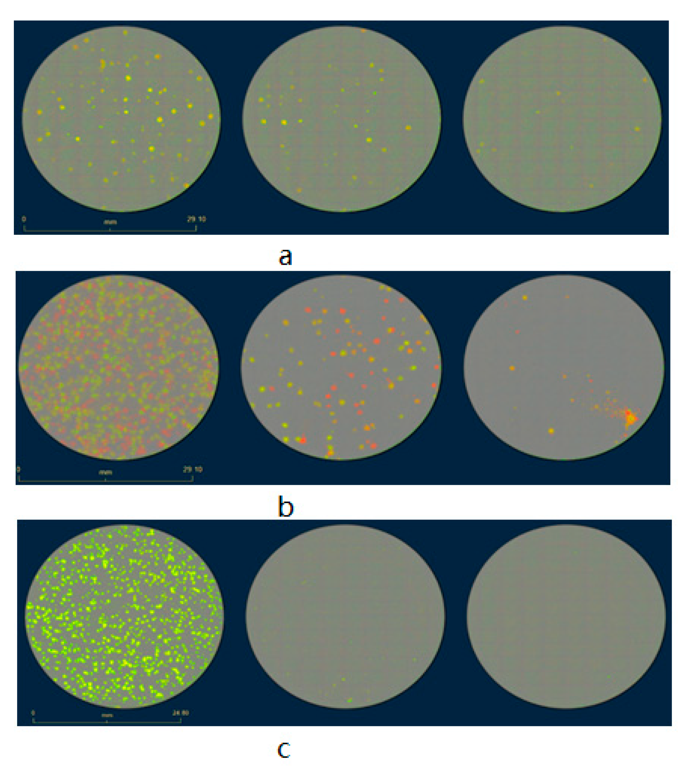 Biomedicines 09 01032 g004 550