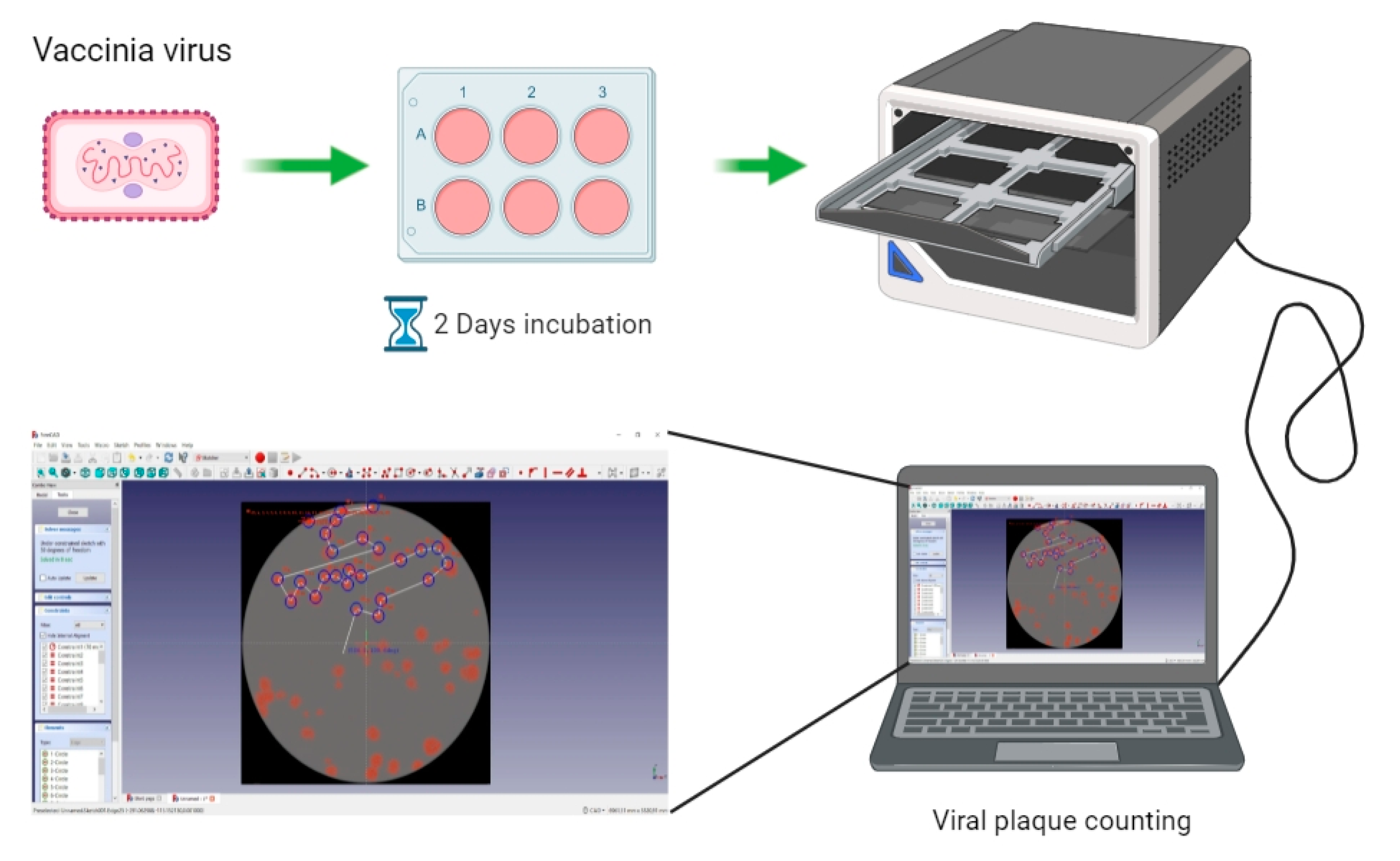 Biomedicines 09 01032 g005 550
