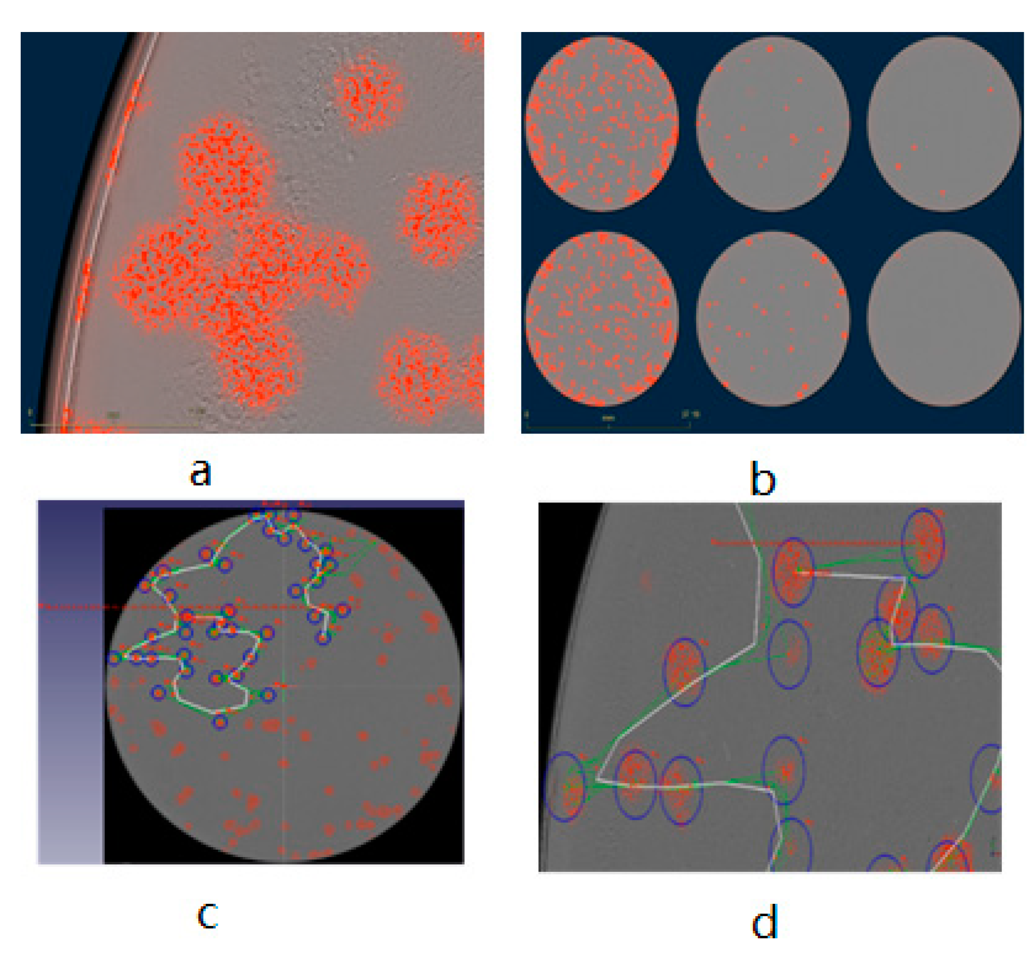 Biomedicines 09 01032 g006 550