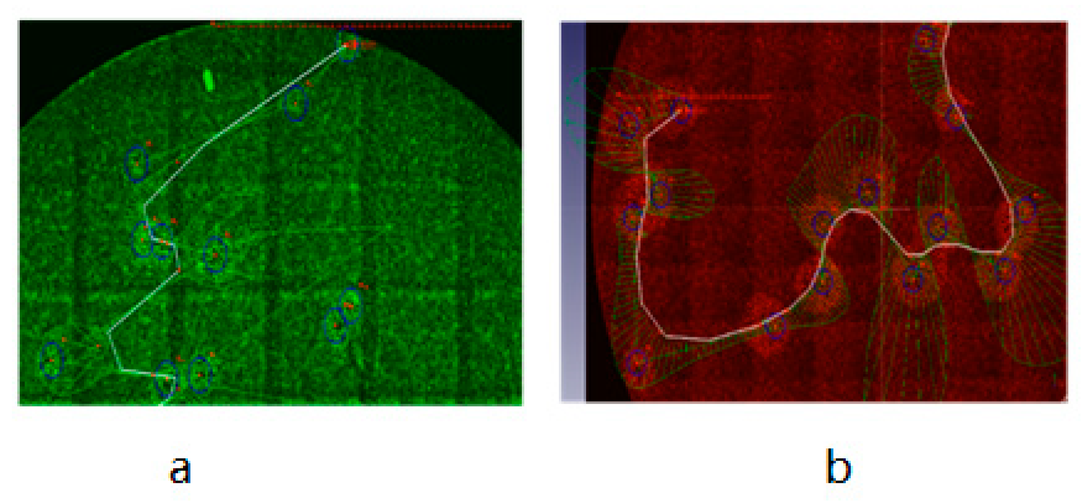 Biomedicines 09 01032 g008 550