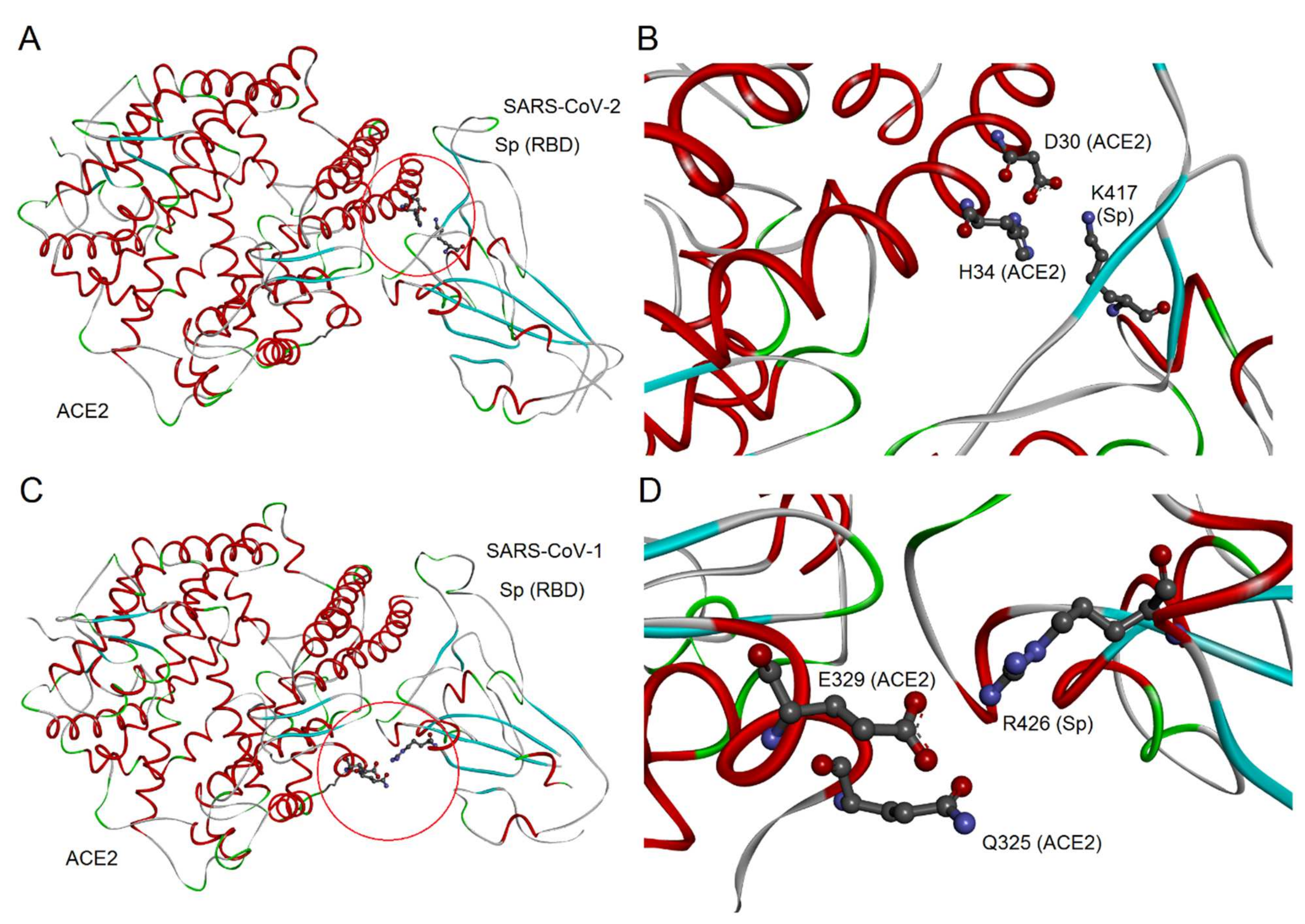 Biomedicines 09 01038 g003