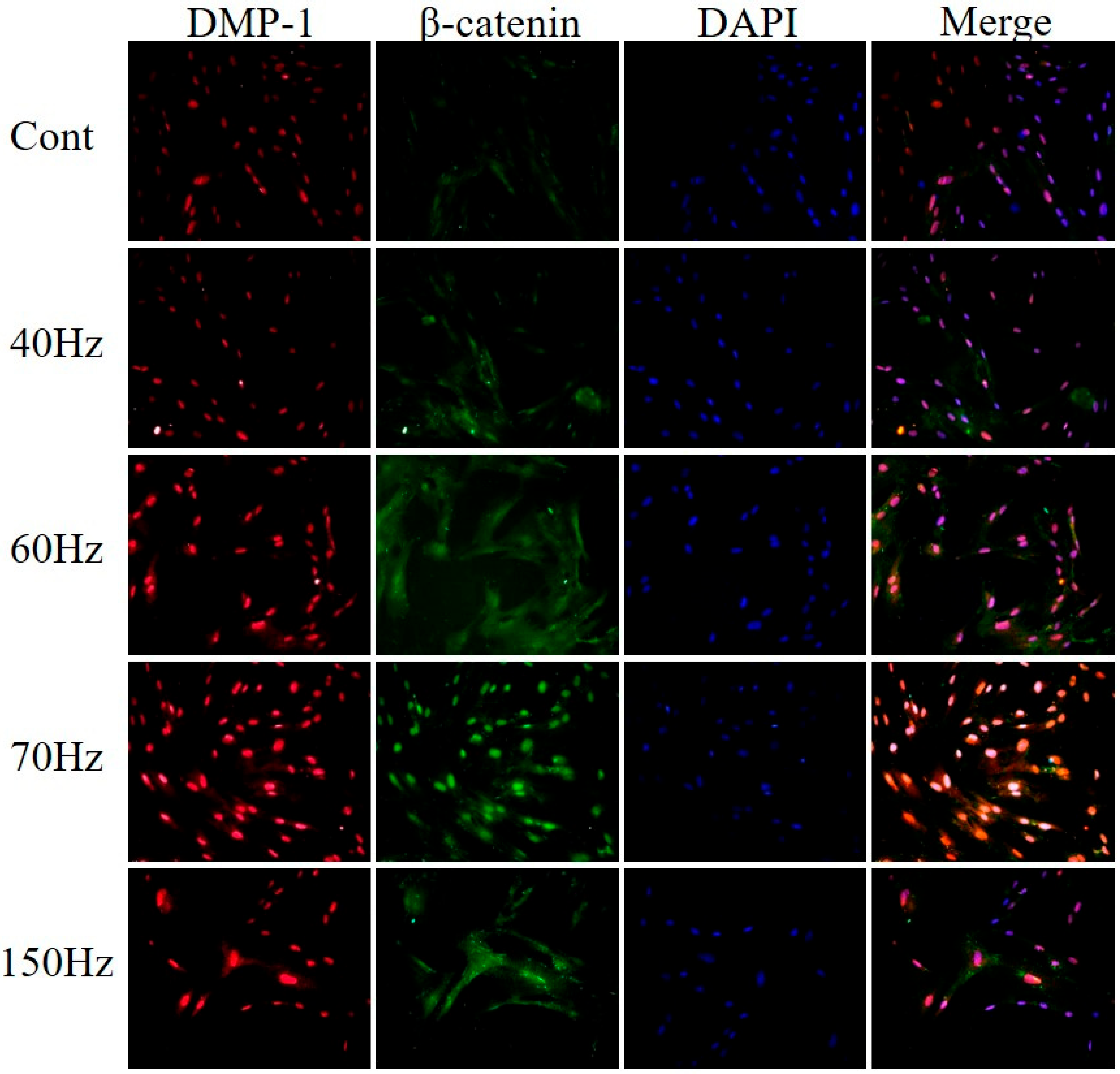 Biomedicines 09 01049 g006 Biomedicines 09 01049 g006